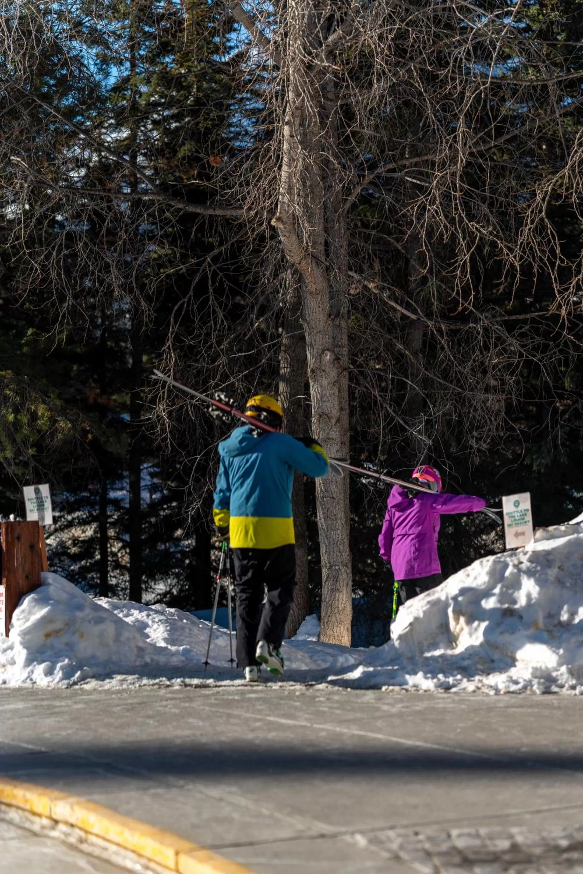 Skiing in Lake Louise Inn