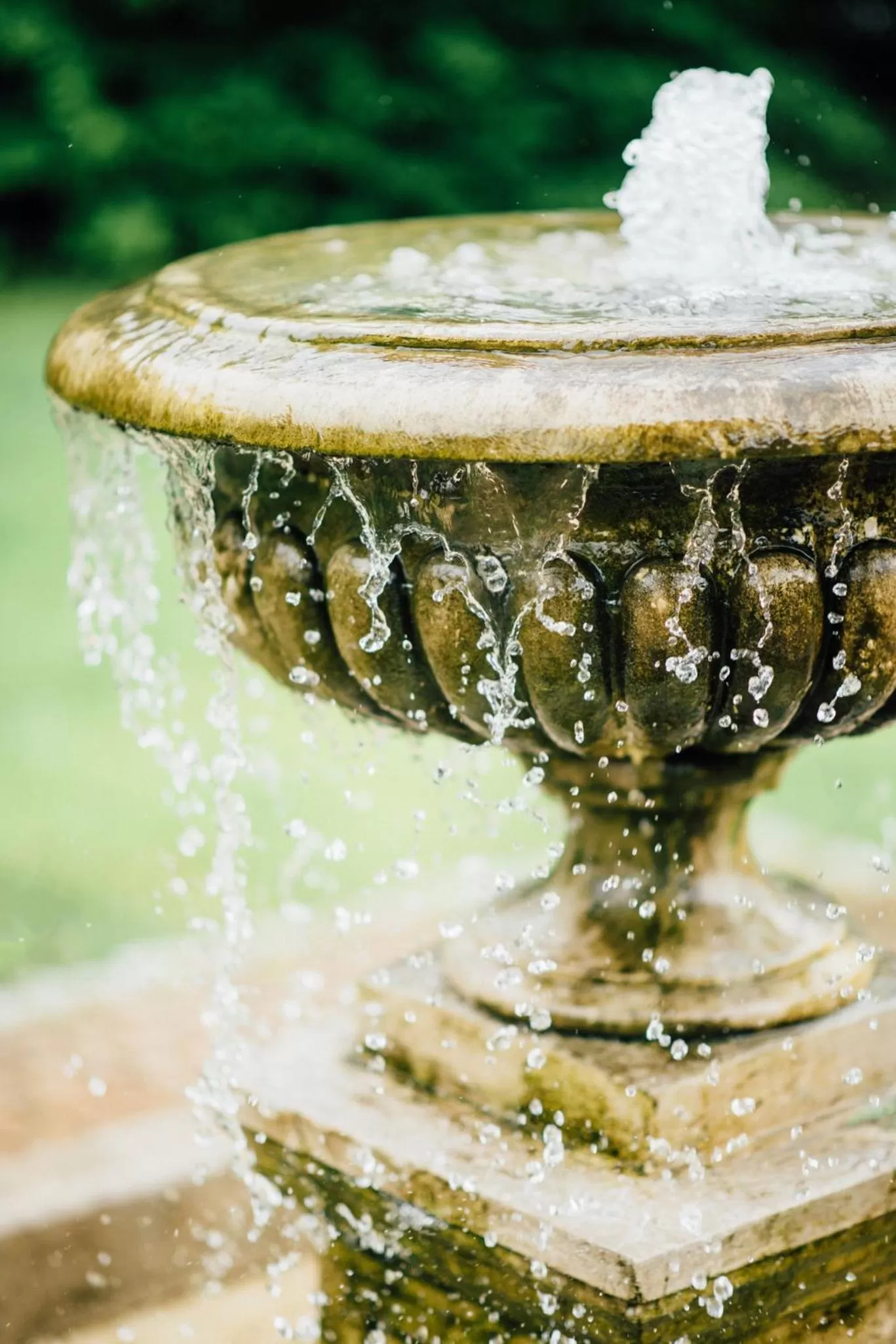 Garden in Turówka Hotel & Spa