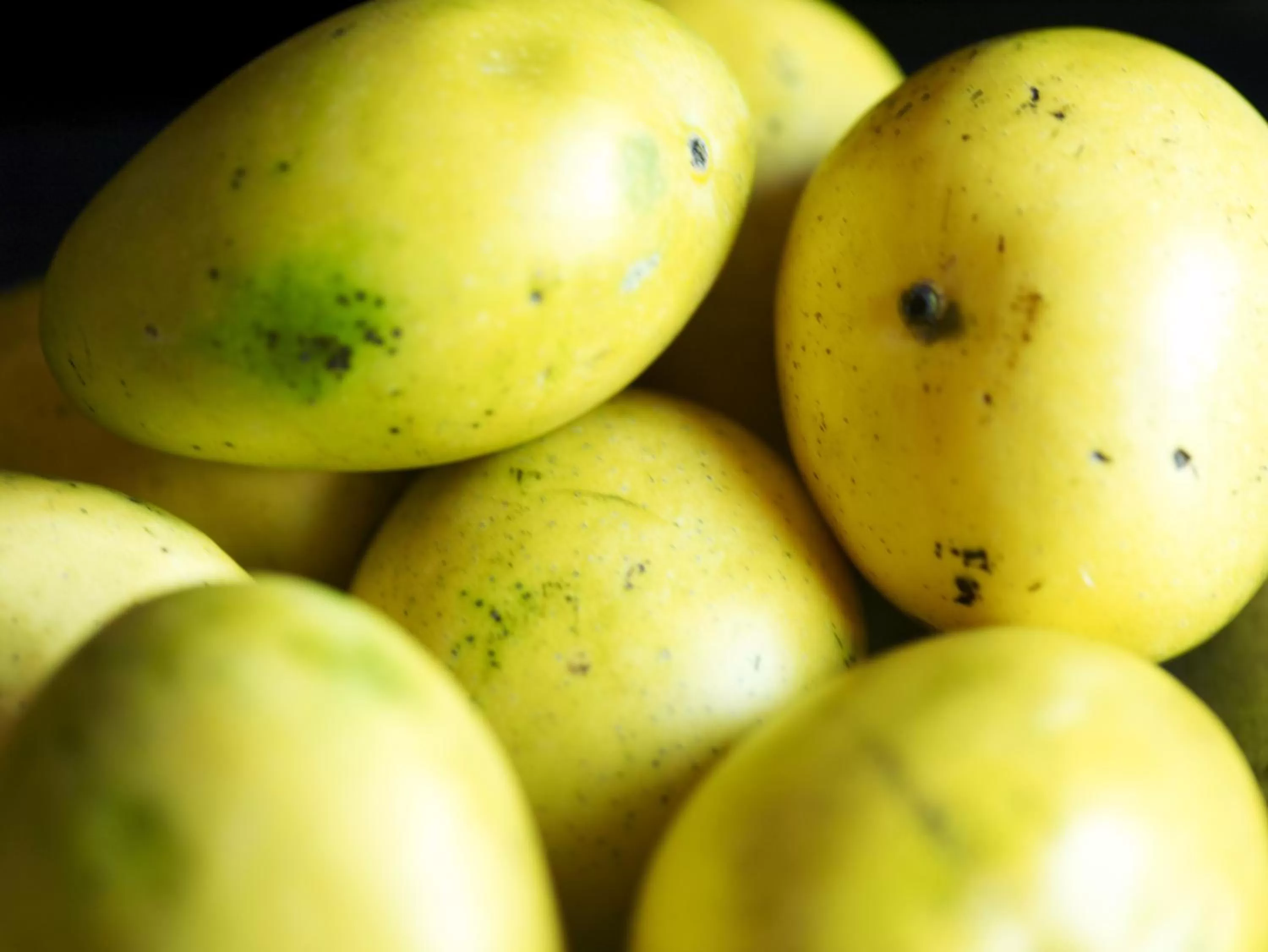 Other in Taj Nadesar Palace