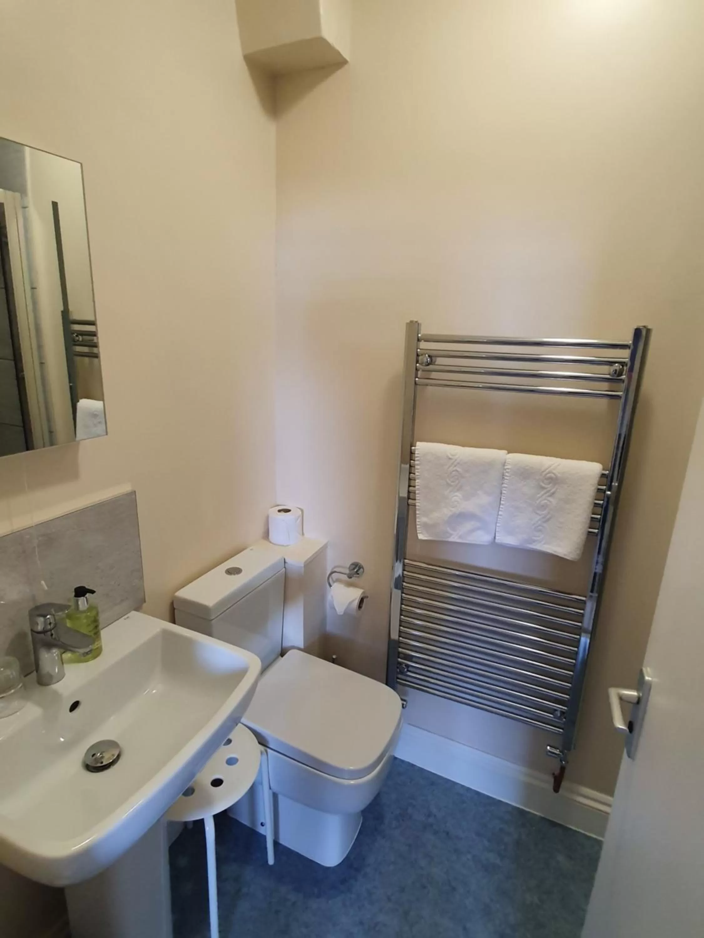 Toilet in Alexandra Hotel