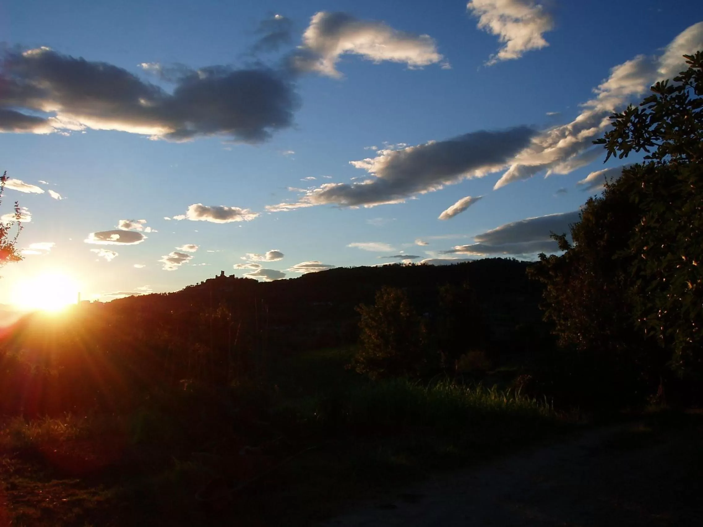 Natural landscape in La Quiete Bed & Breakfast