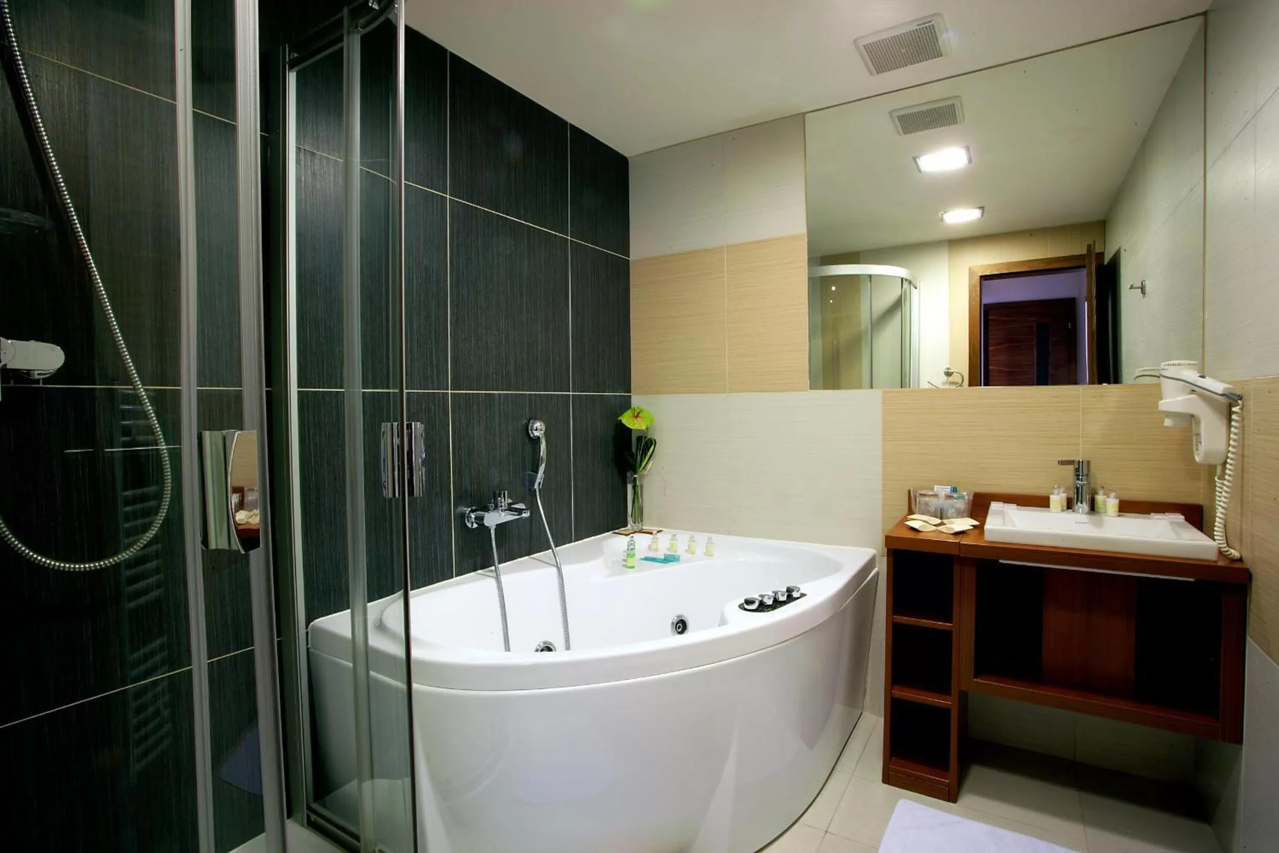 Bathroom in Hotel Janosik