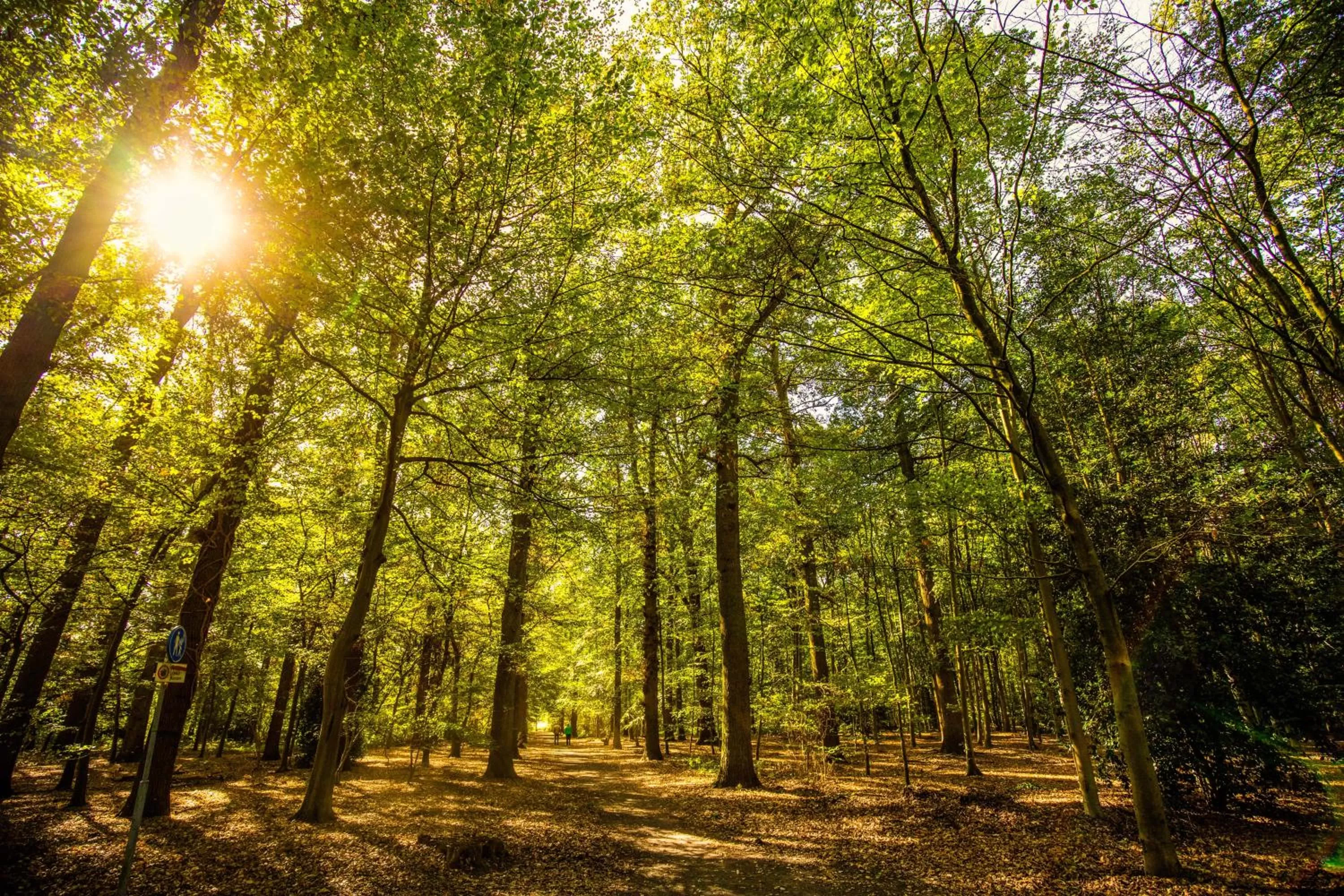 Off site in Pullman Eindhoven Cocagne