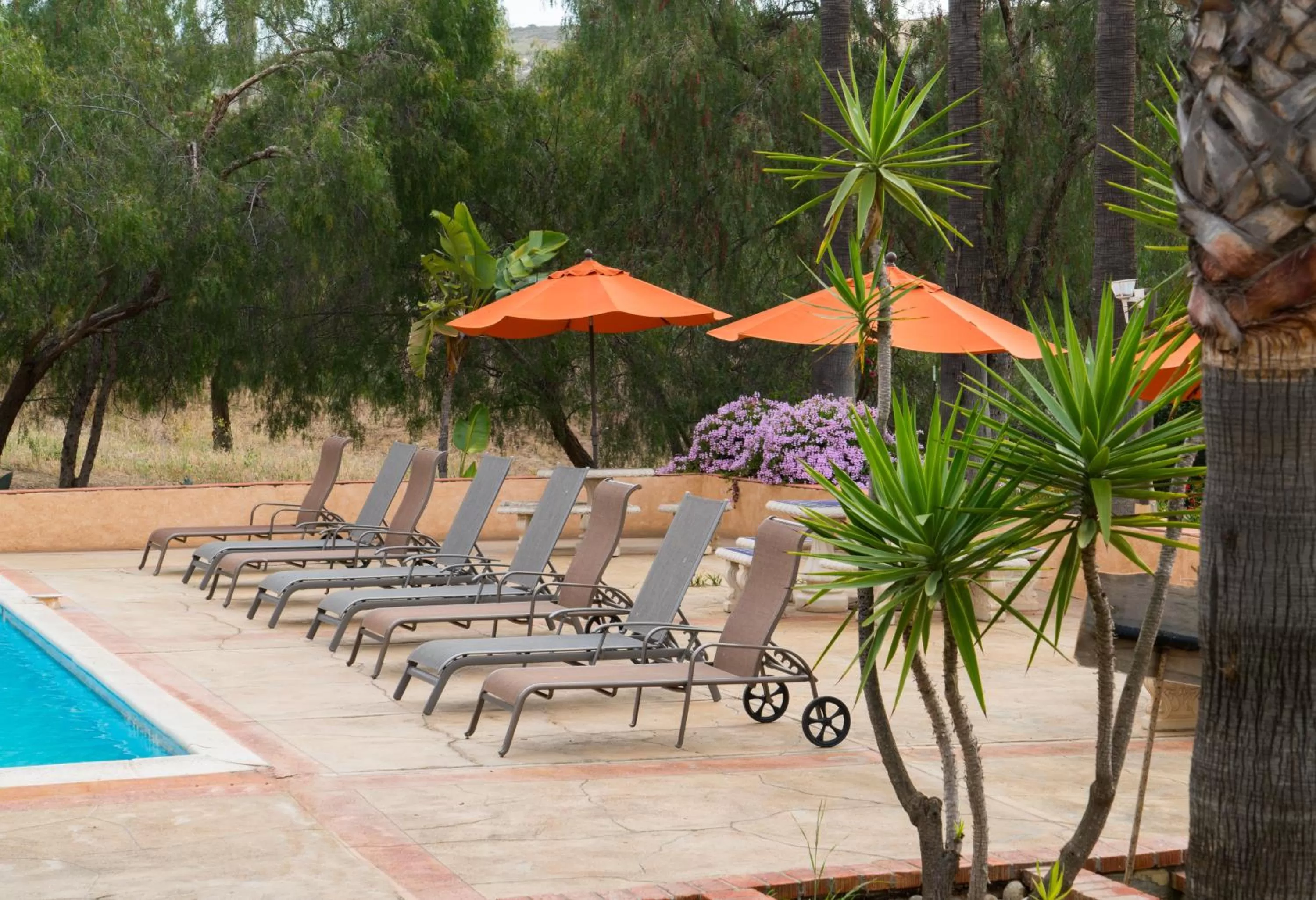 BBQ facilities, Swimming Pool in Horsepower Ranch