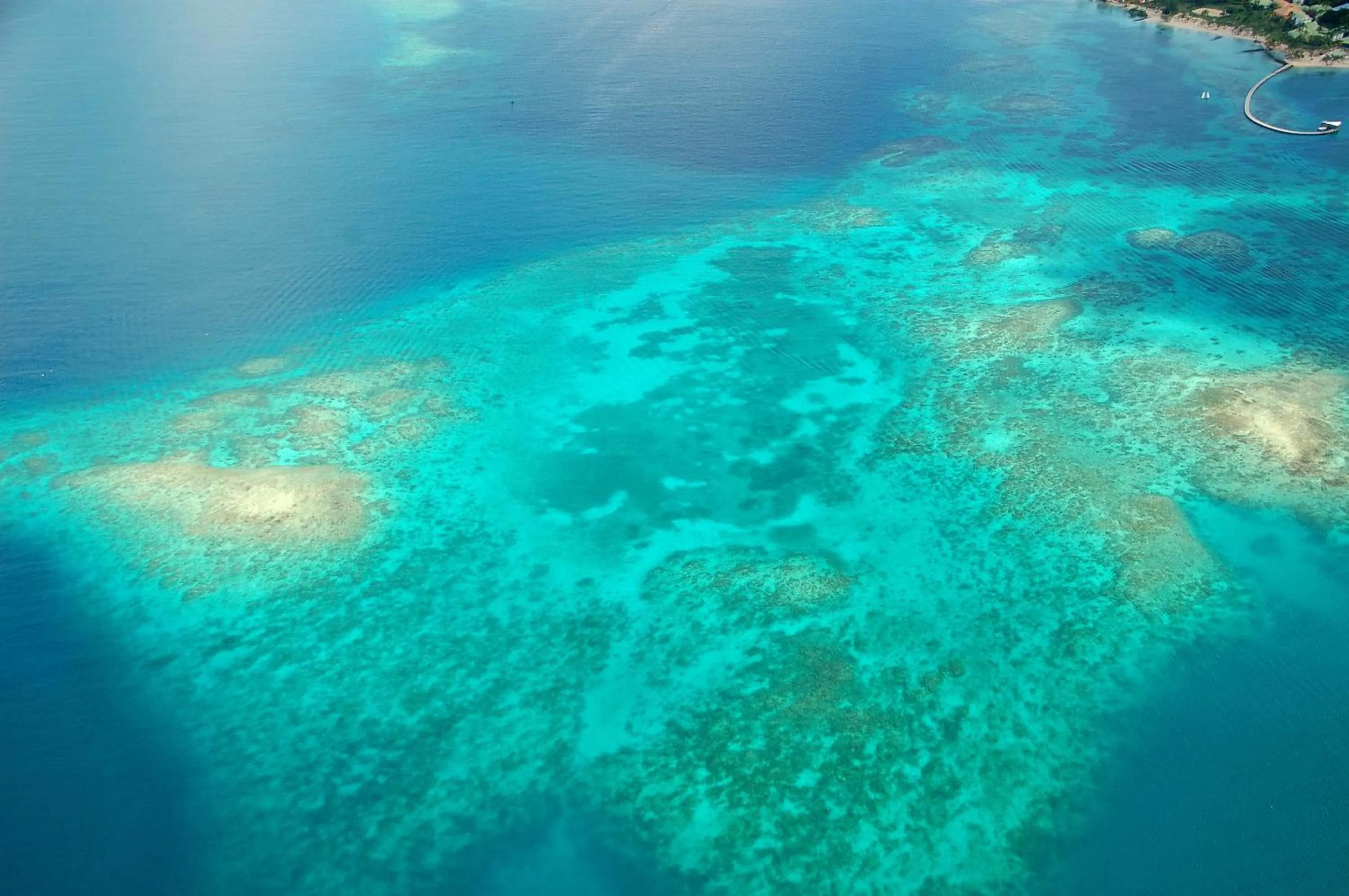 View (from property/room) in Village Creole