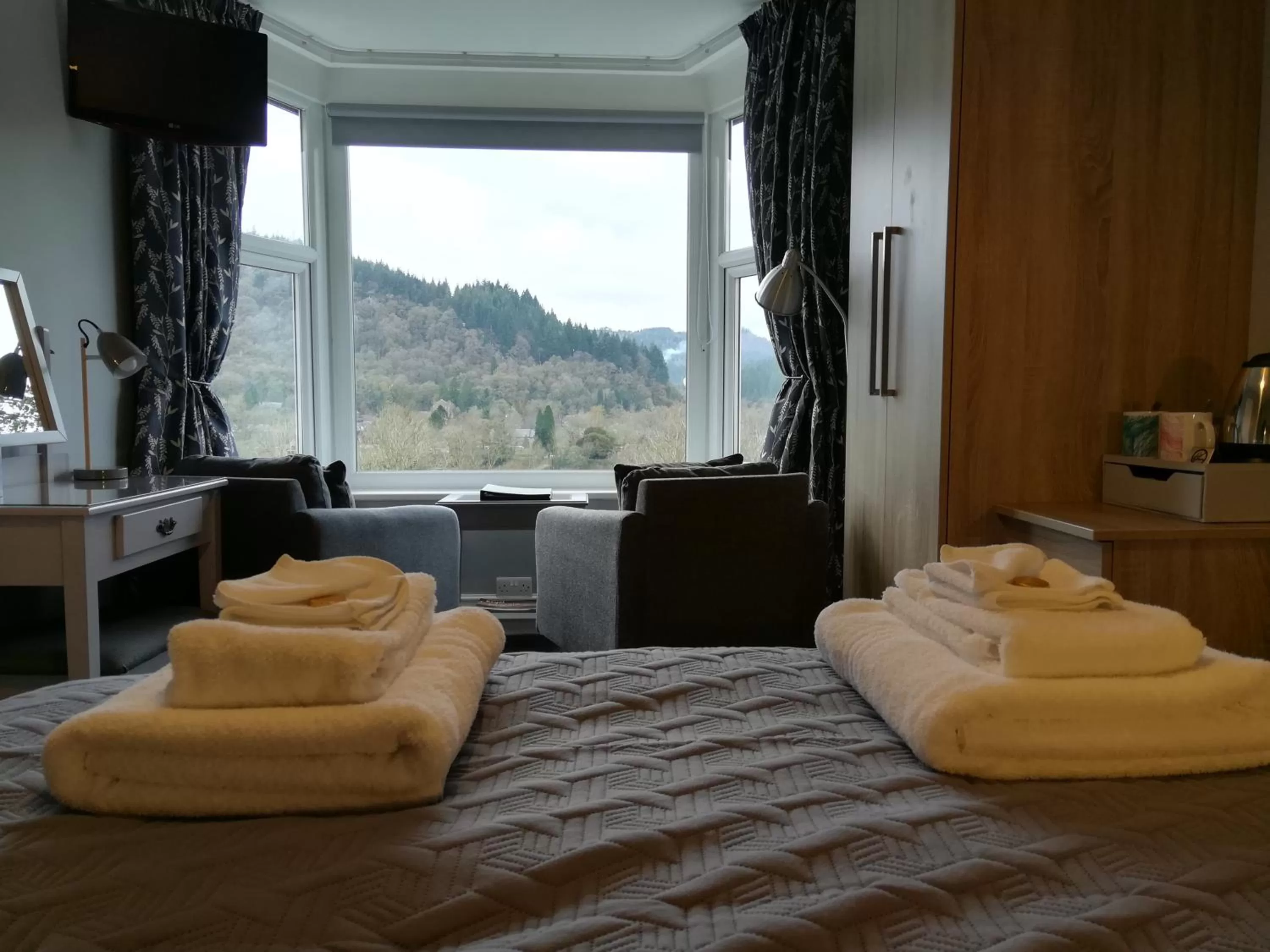 Shower, Mountain View in Aberconwy House B&B