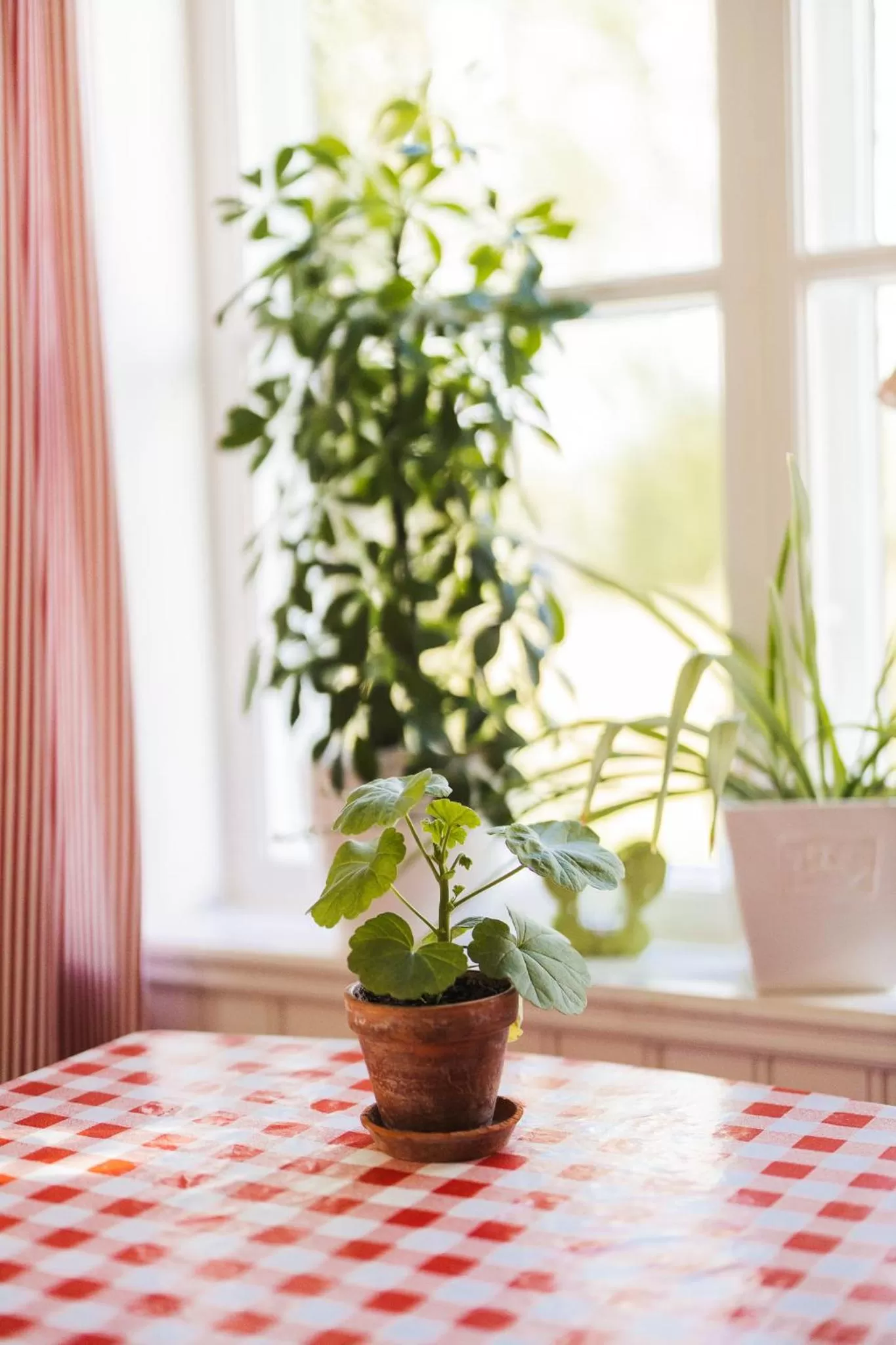 Property building in Bäcks Bed & Breakfast