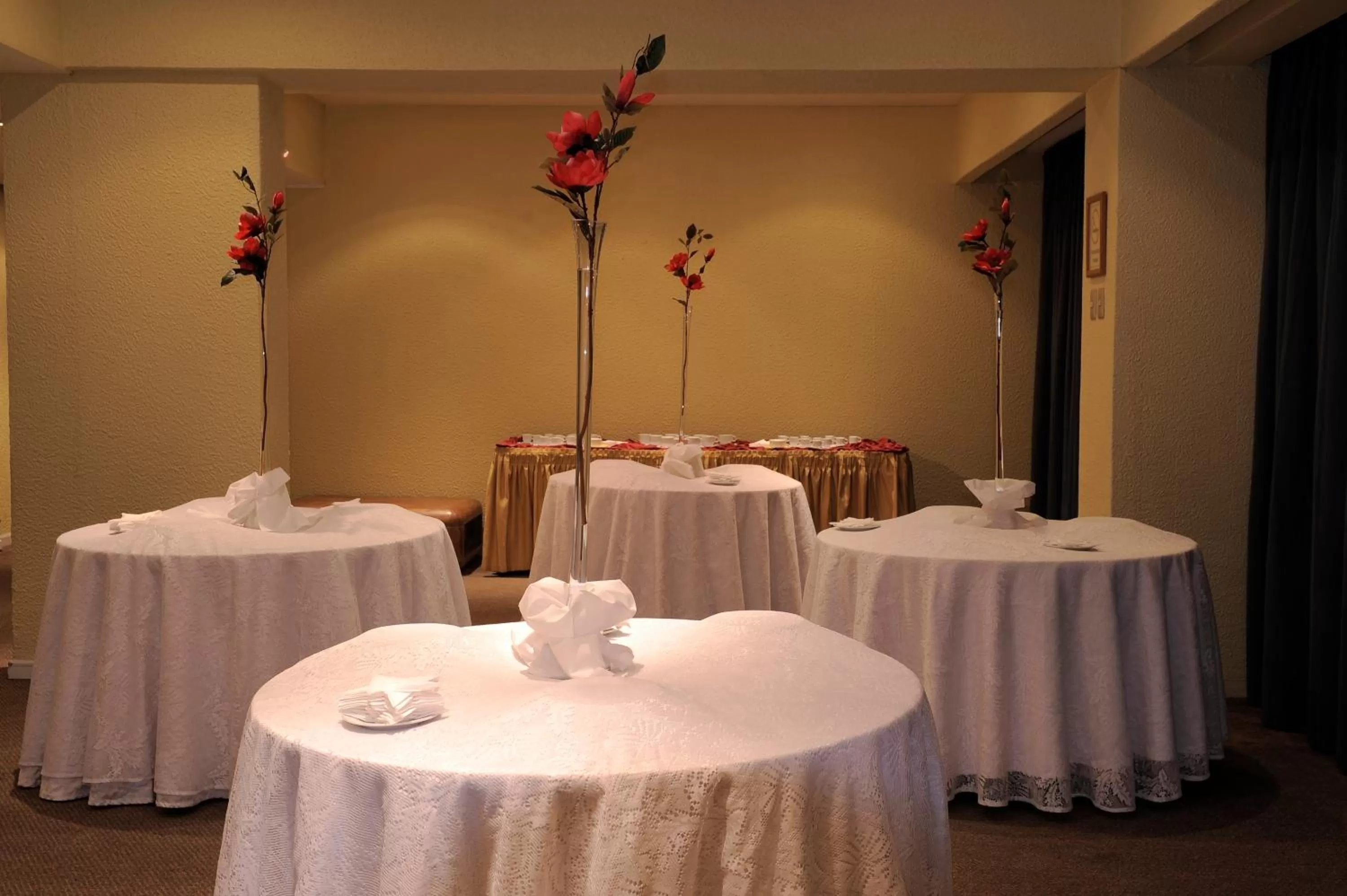 Banquet/Function facilities in Hotel El Araucano