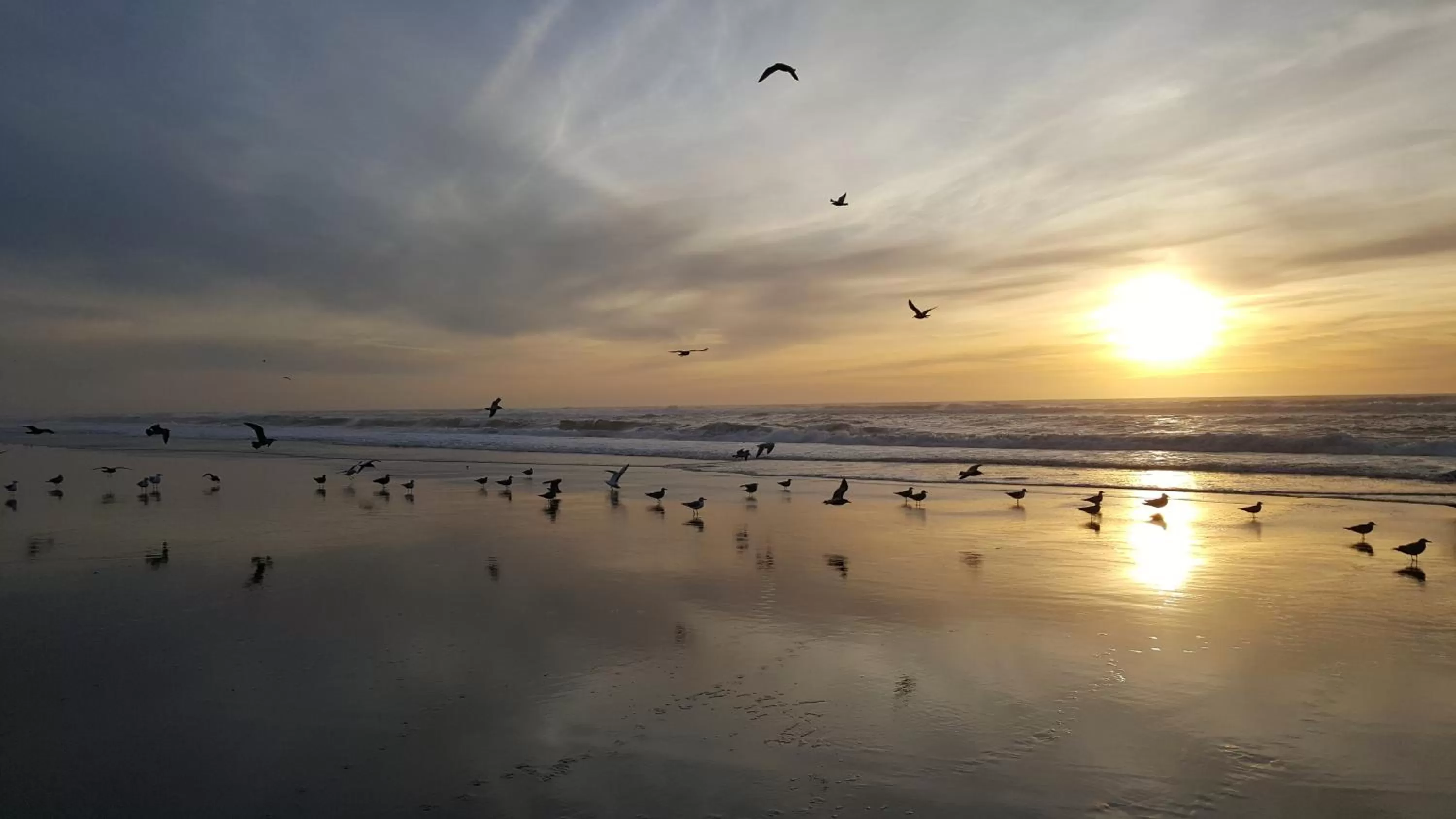 Beach in Winchester Bay Inn