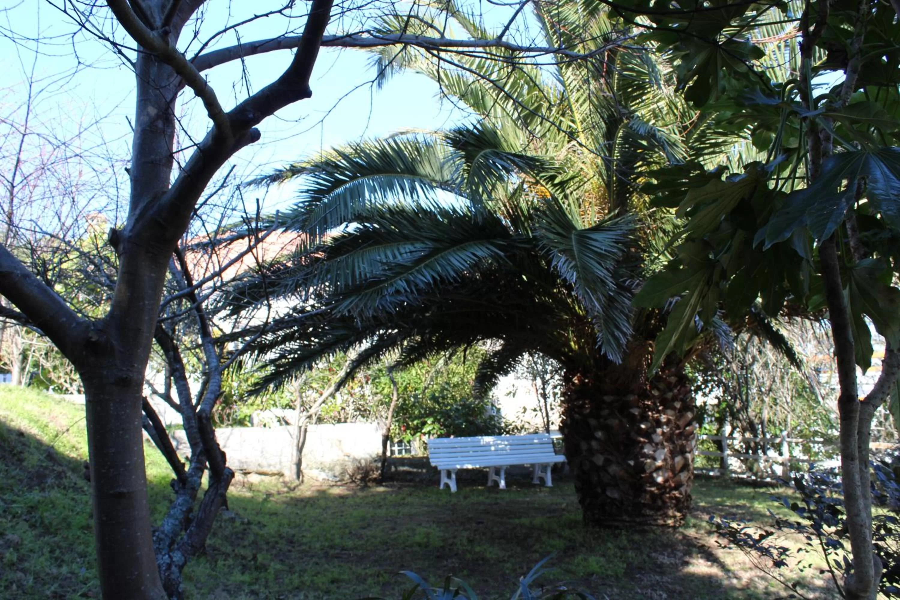 Garden in finca dos Mares