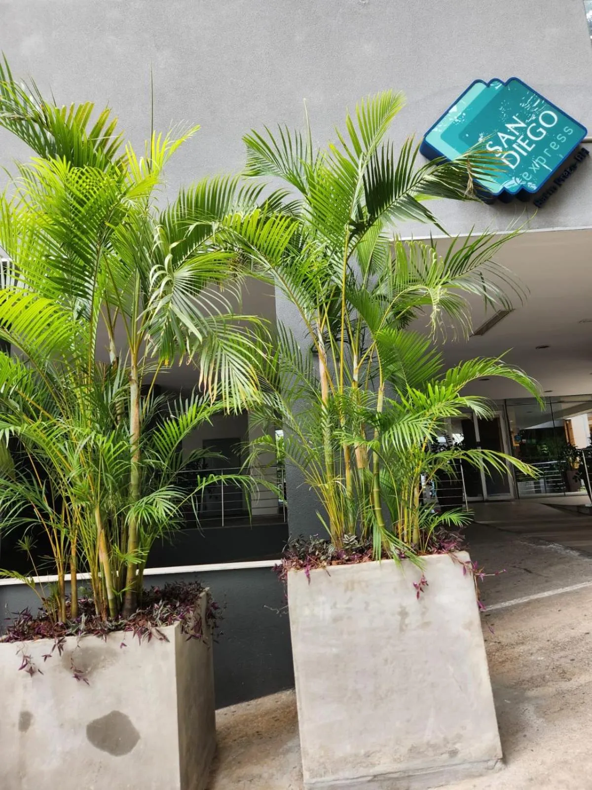 Garden in San Diego Express Barro Preto