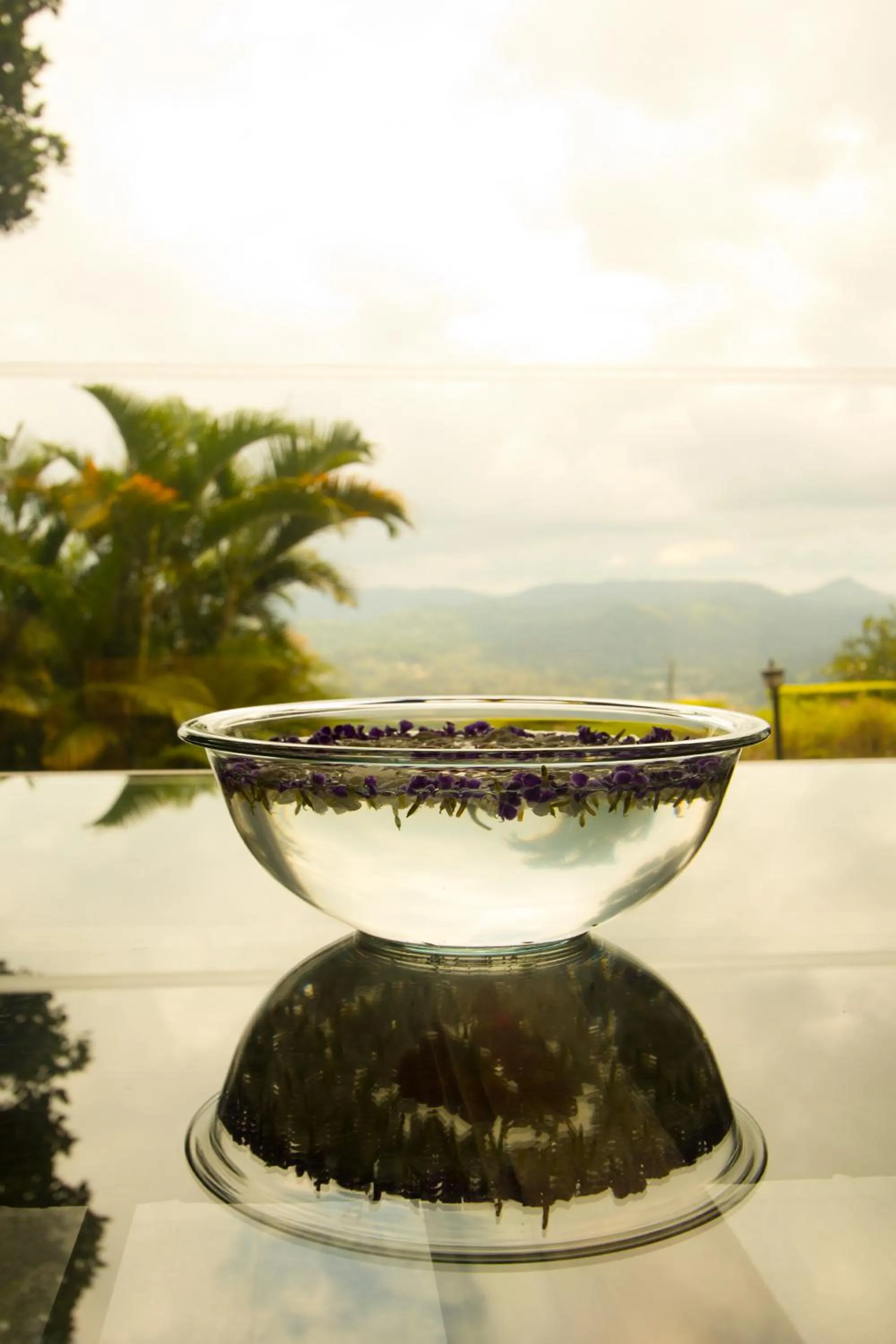 Day in Randholee Resort & Spa