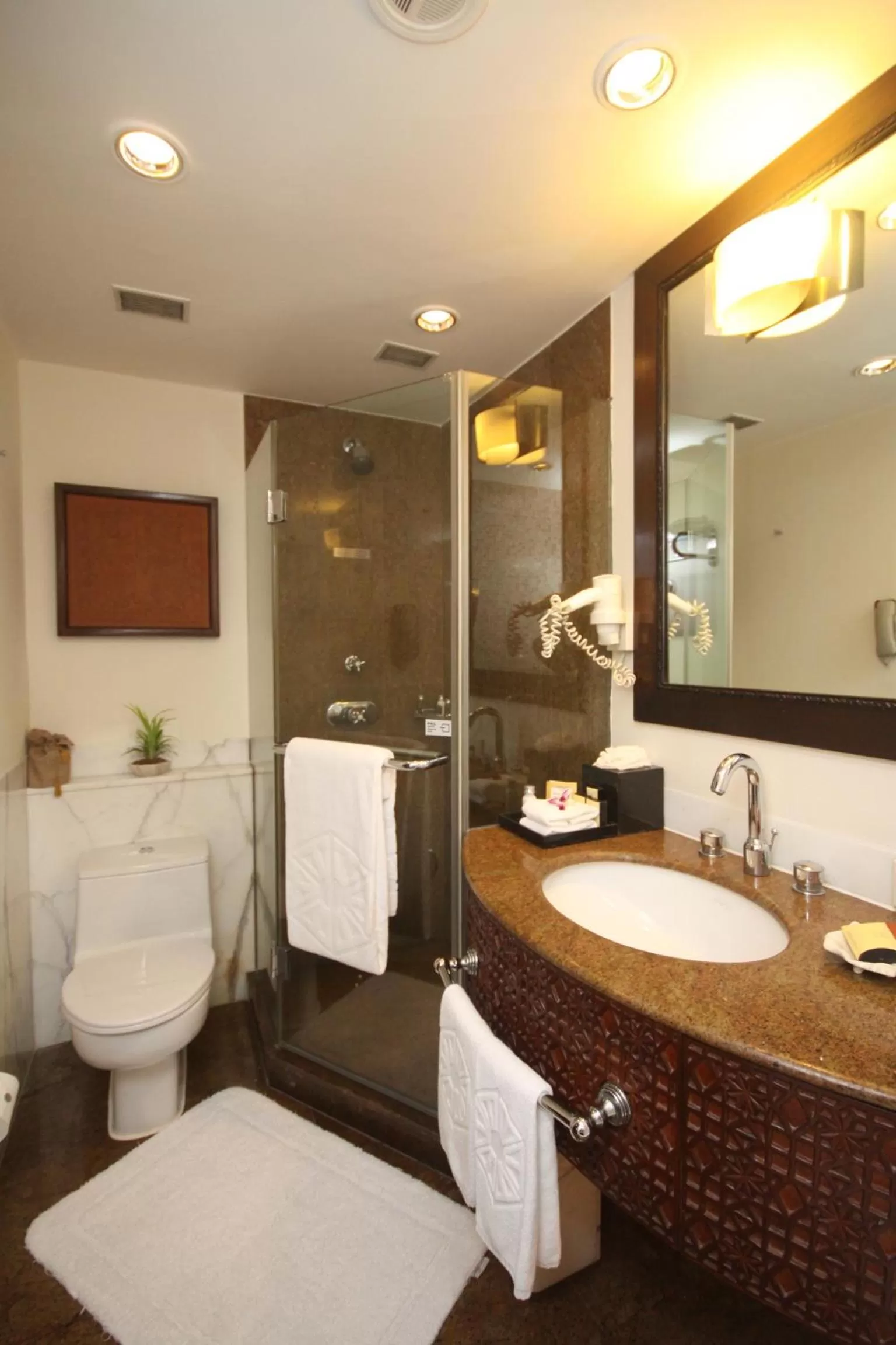 Bathroom in Taj Bengal