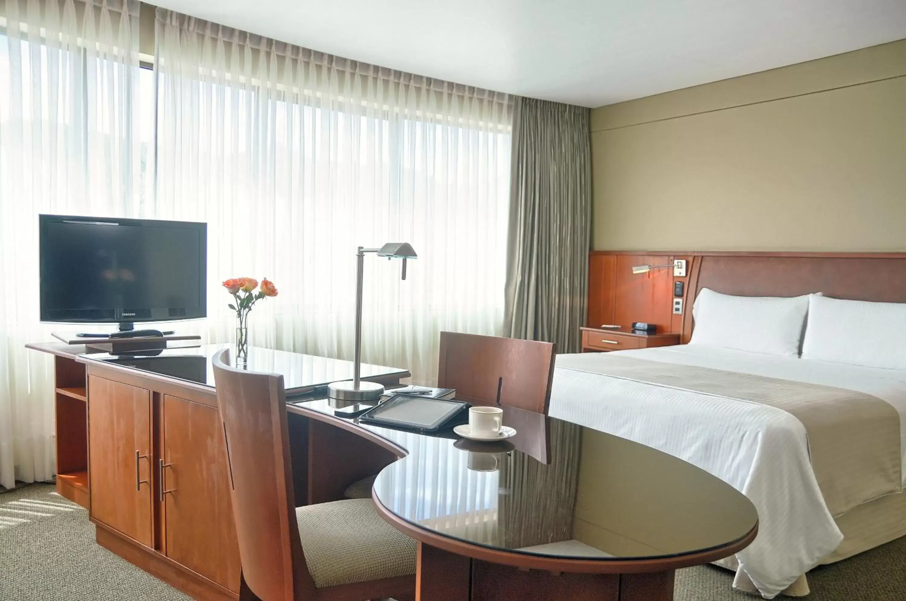 One-Bedroom King Suite in Suites Camino Real One-Bedroom King Suite in Suites Camino Real