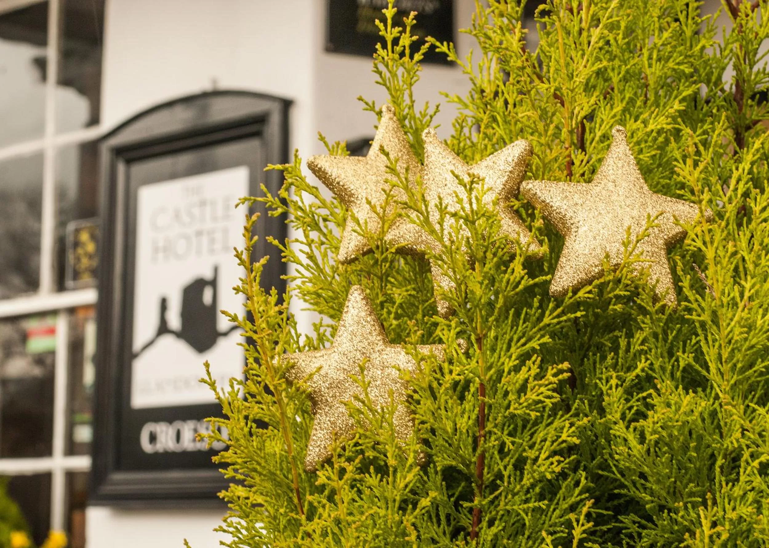 Facade/entrance in The Castle Hotel