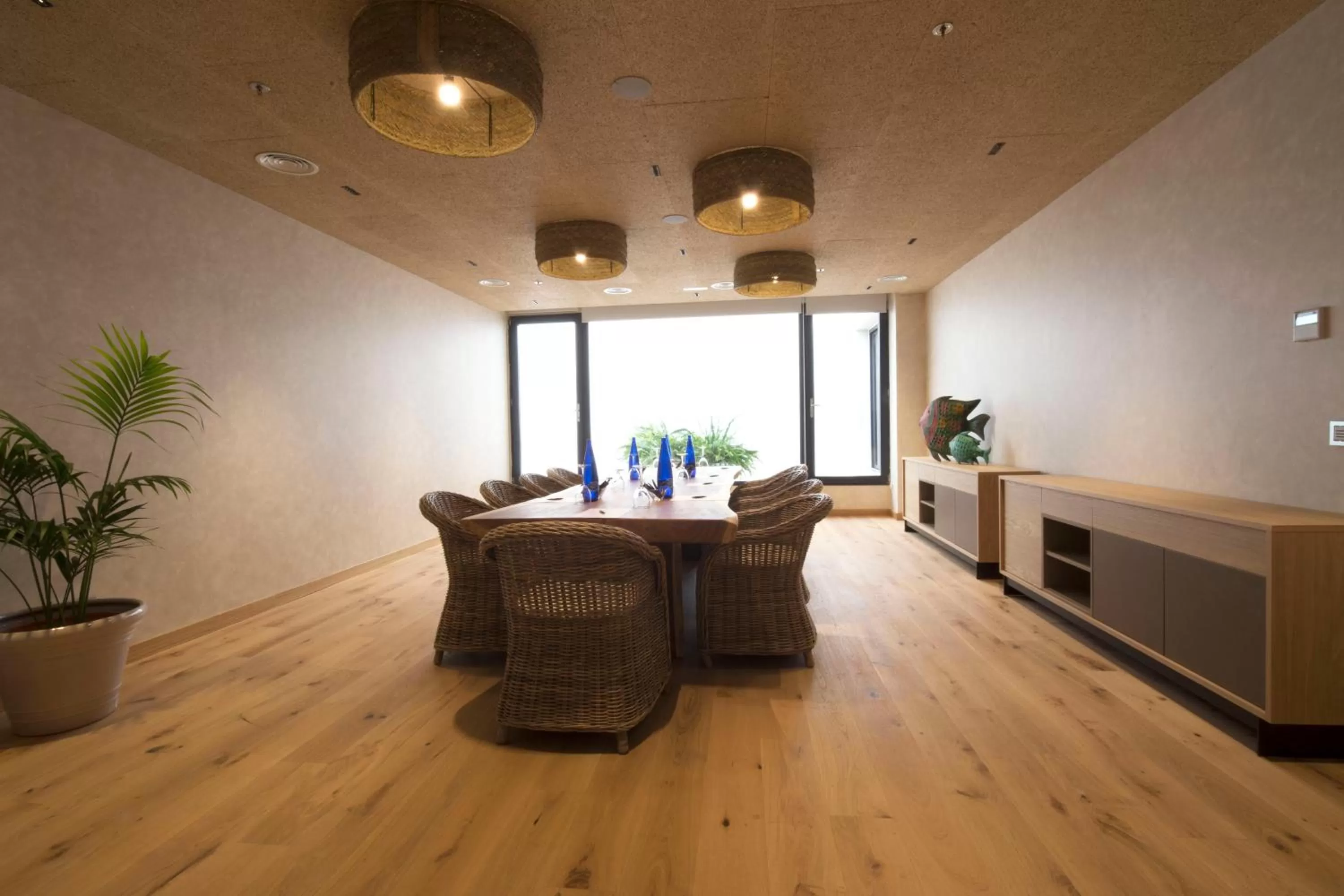 Area and facilities in Zenit Sevilla