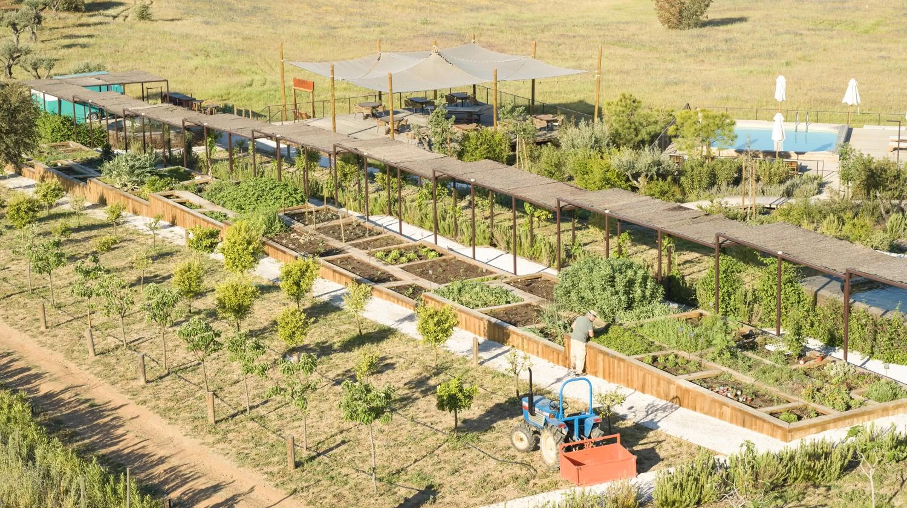 Bird's eye view in Octant Evora