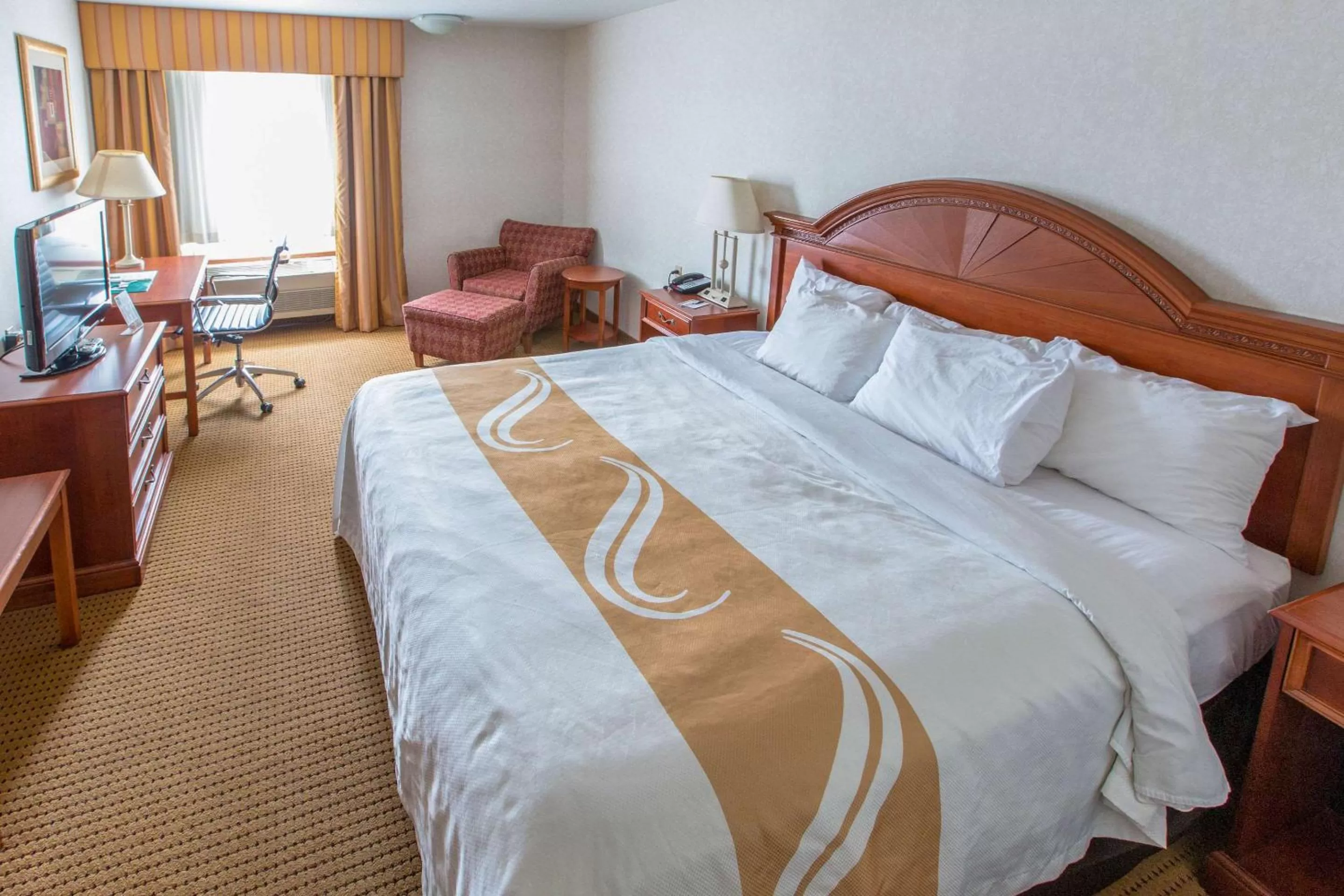 Photo of the whole room, Bed in Quality Inn & Suites University