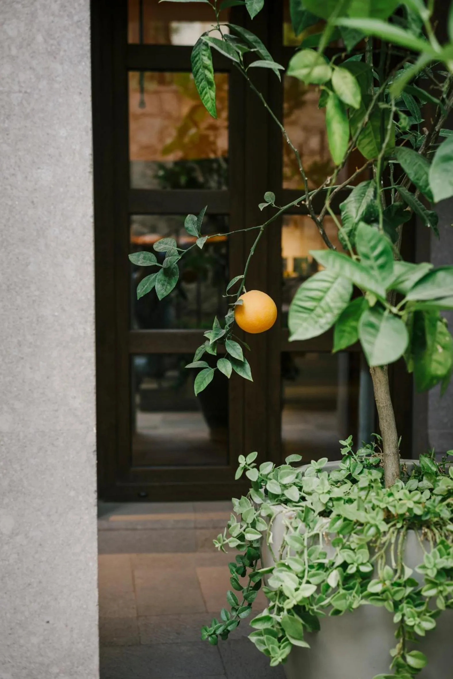 Hotel Apapacho Boutique