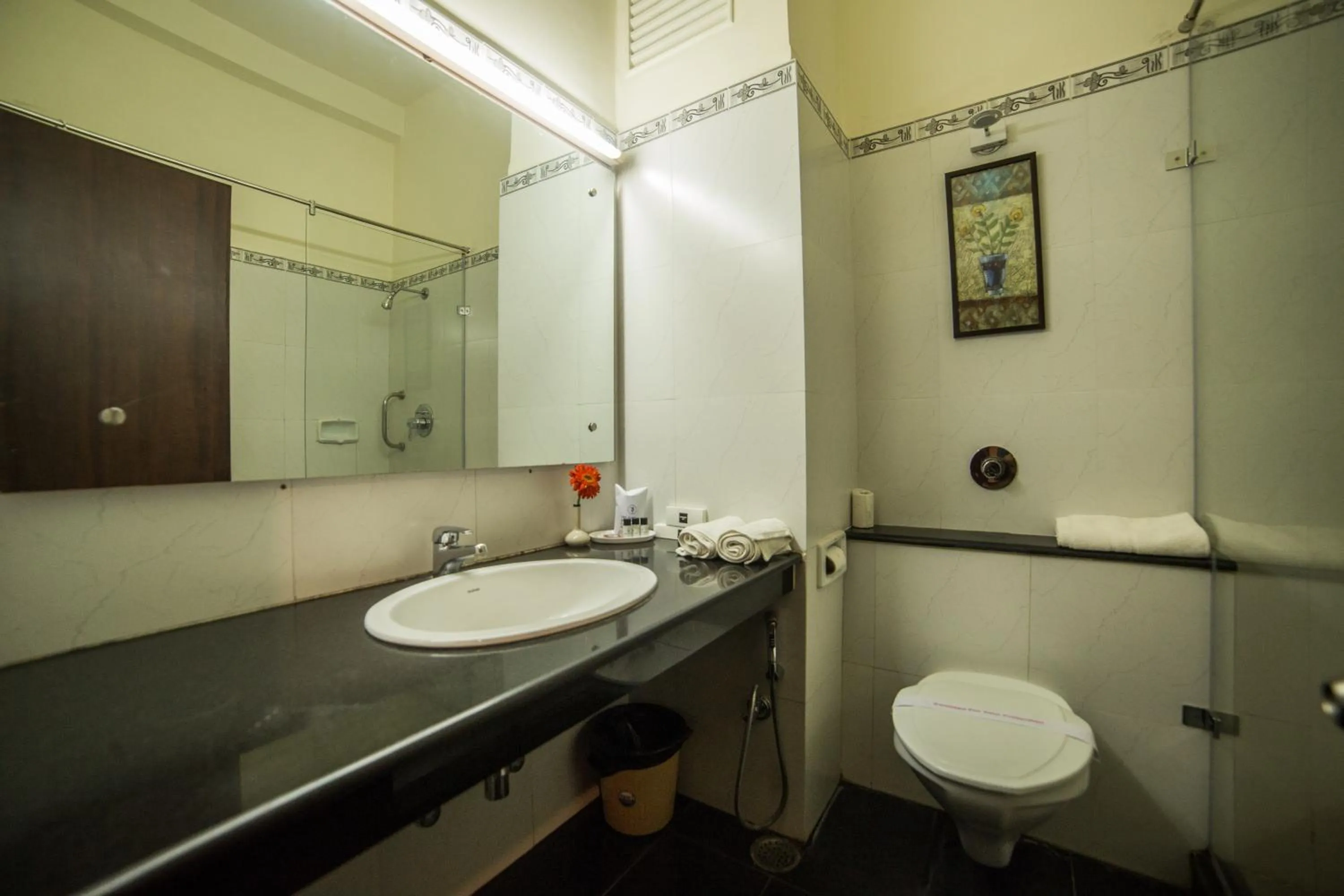 Toilet in Diamond Hotel