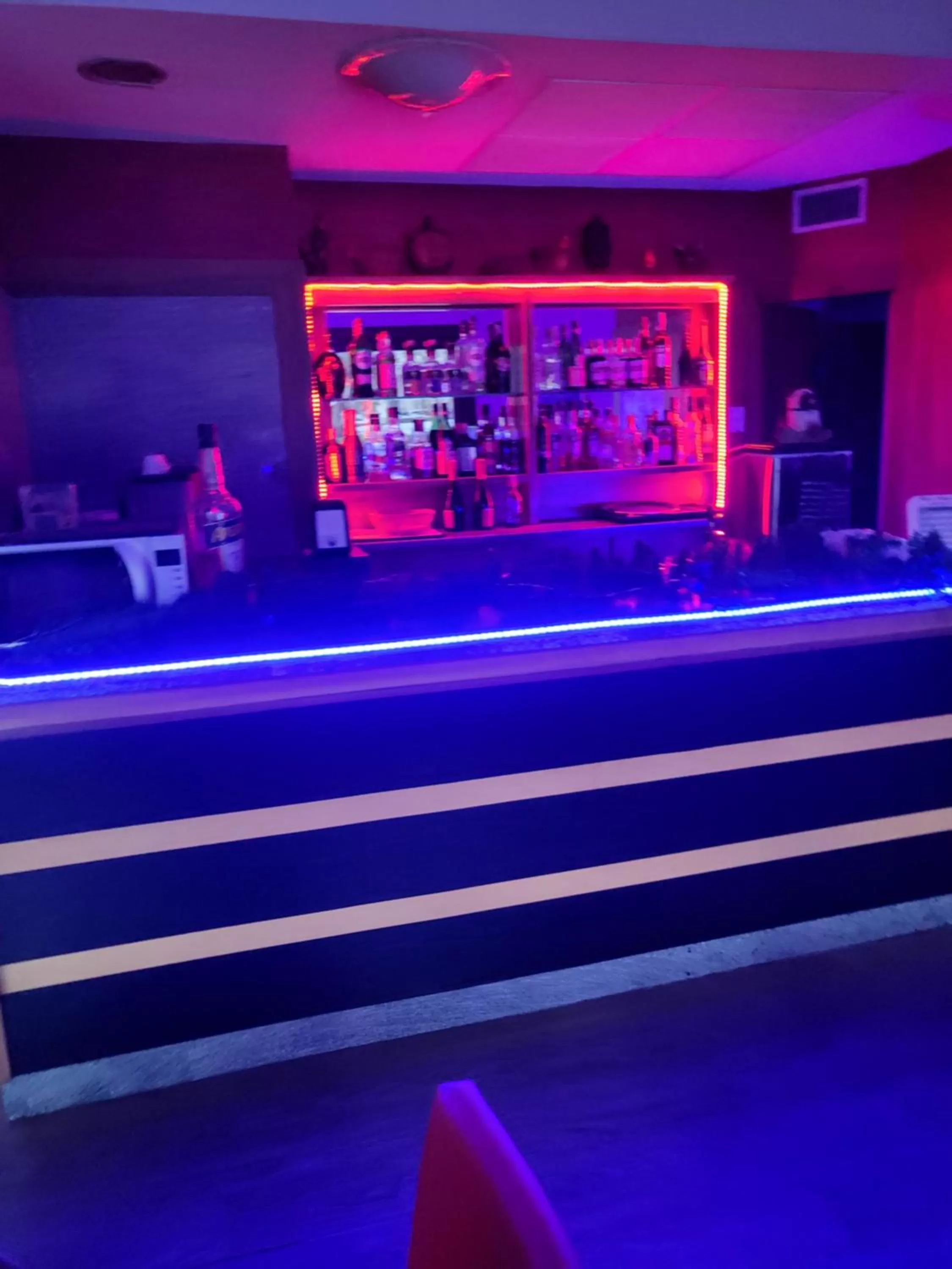 Lounge or bar in Hotel Miage