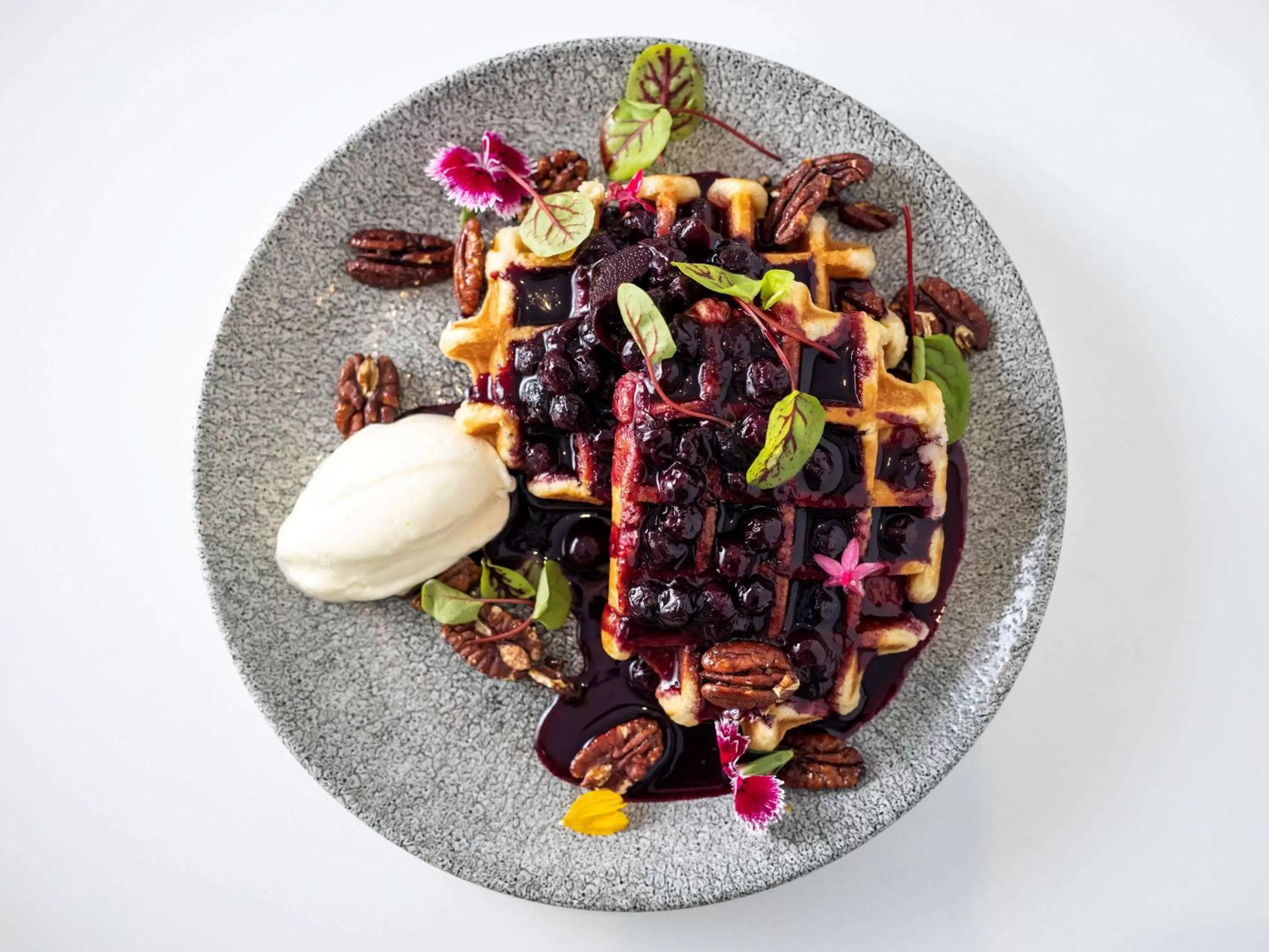 Restaurant/places to eat in Sofitel Noosa Pacific Resort