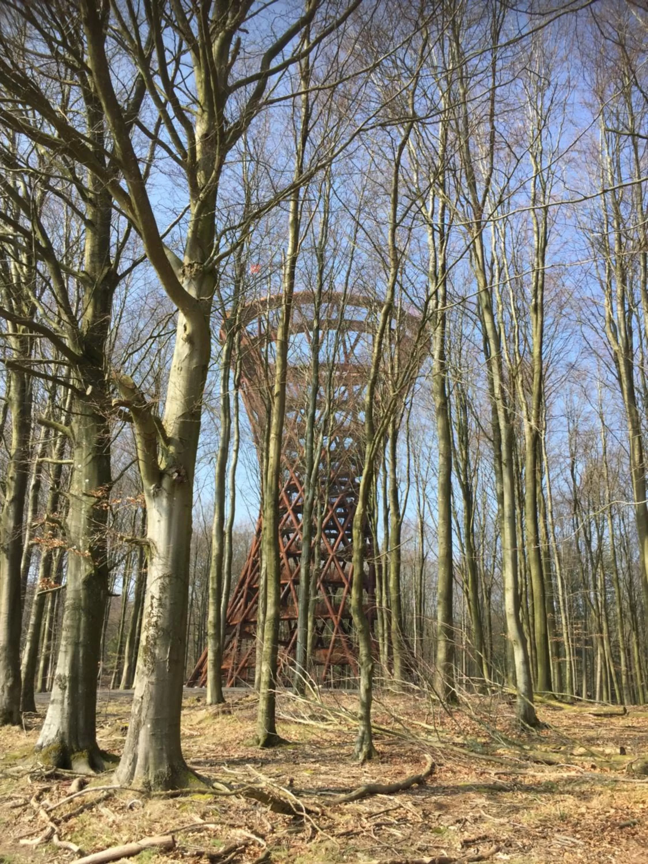 Natural landscape in Edelsminde Bed & Breakfast