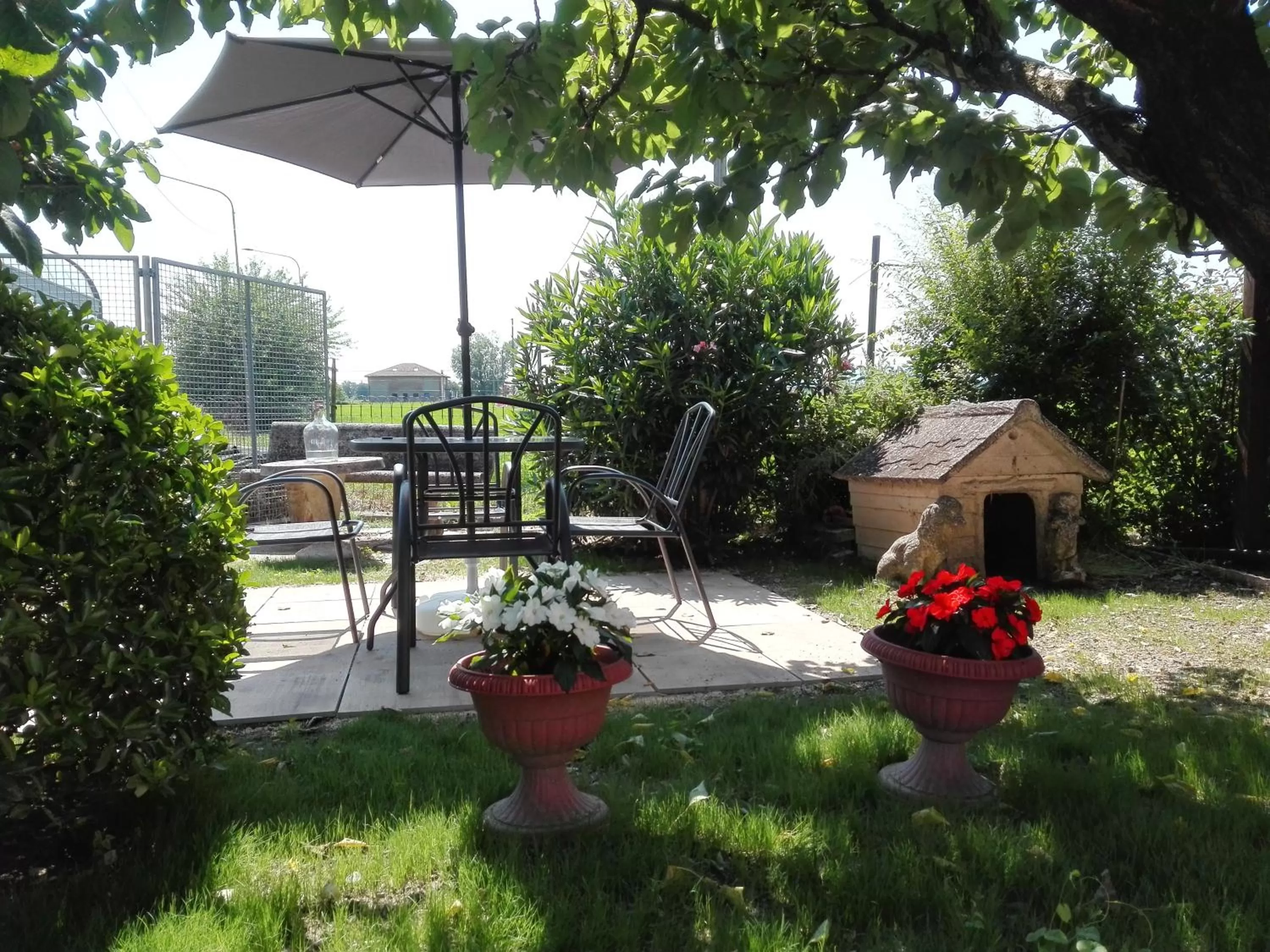 Garden in B&B "Il Cantastorie" Casa Molinari-Boldrini - Room & breakfast