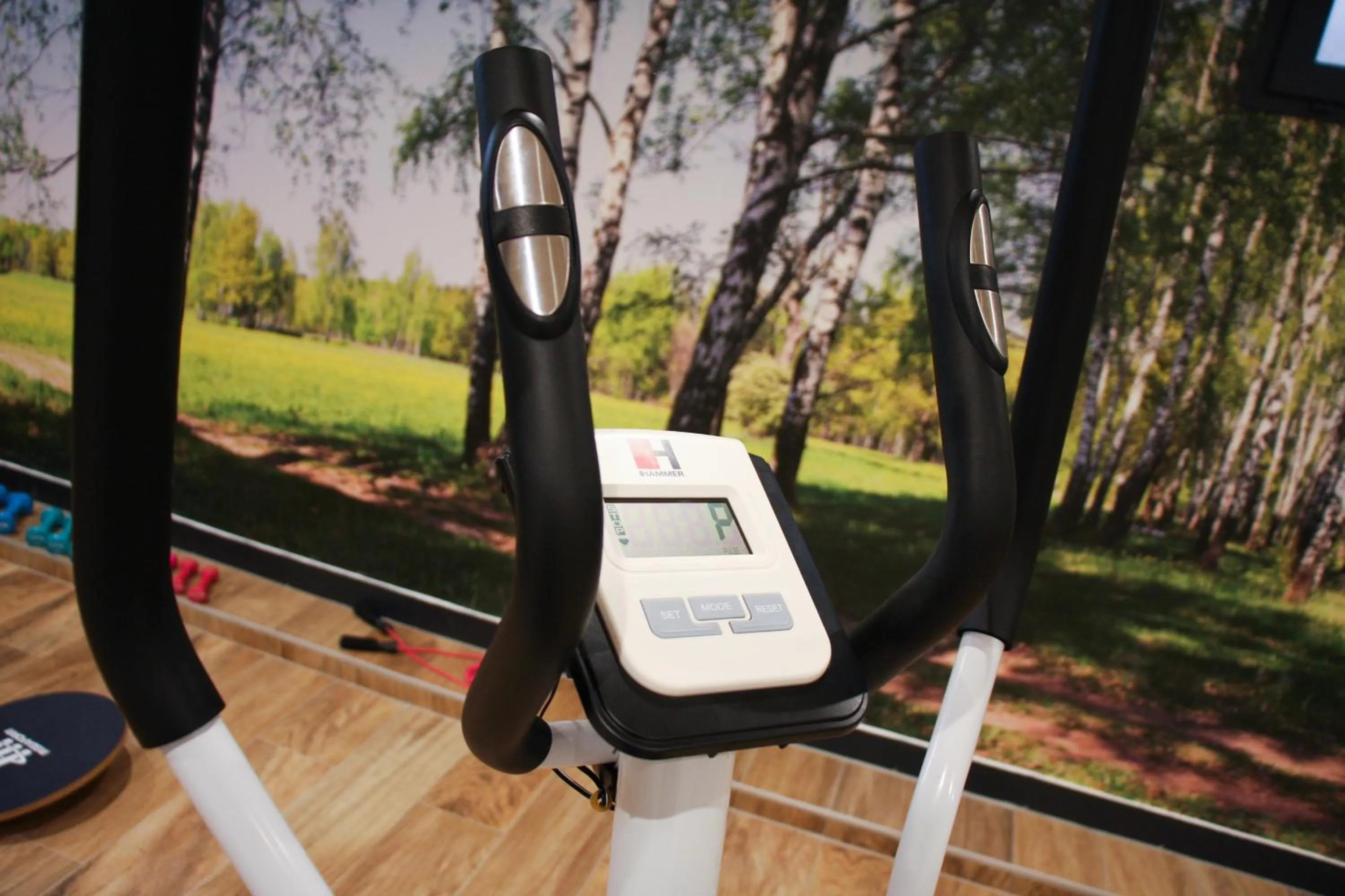 Fitness centre/facilities in Hotel Roses