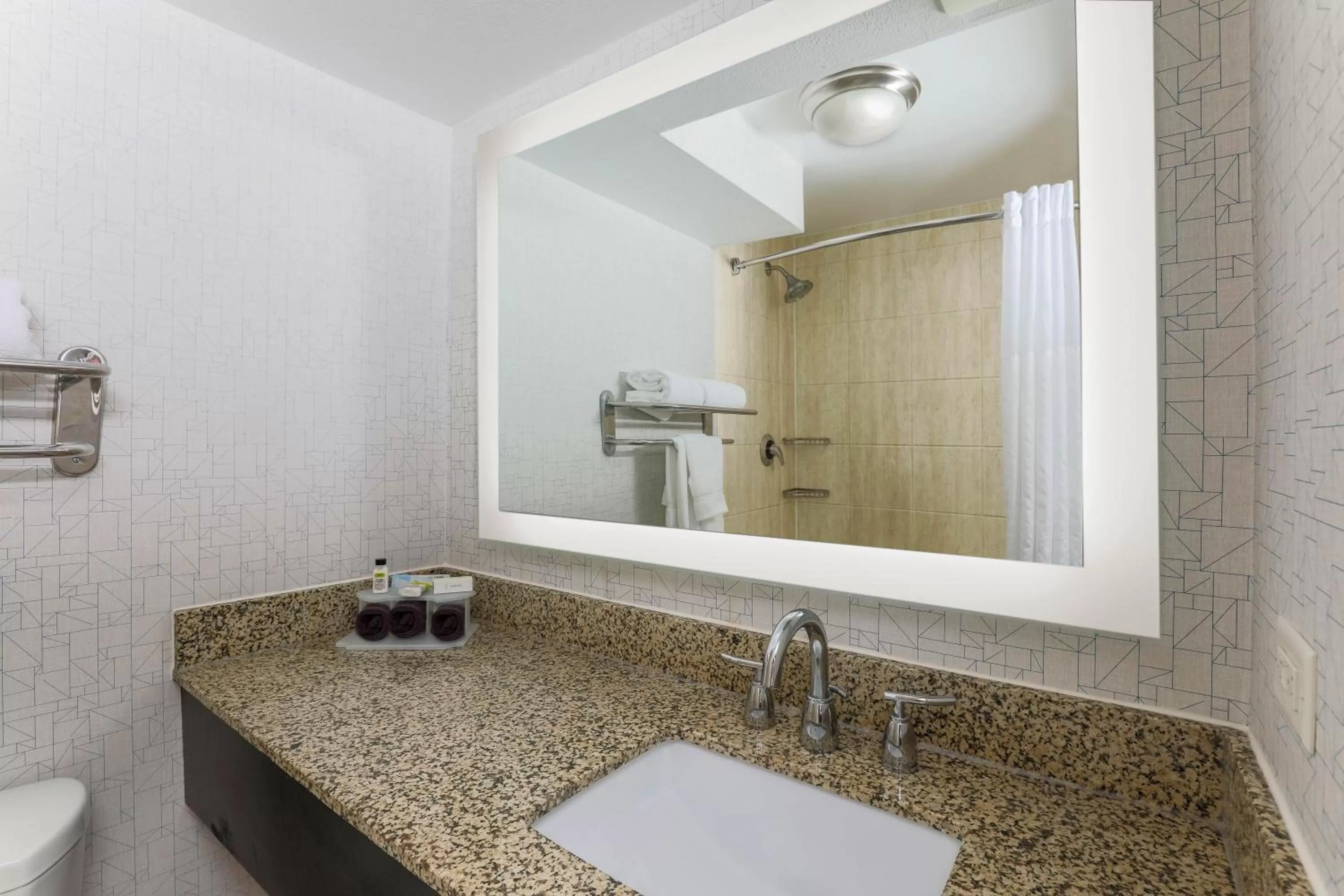 Bathroom in Holiday Inn Express & Suites Fort Worth Downtown by IHG