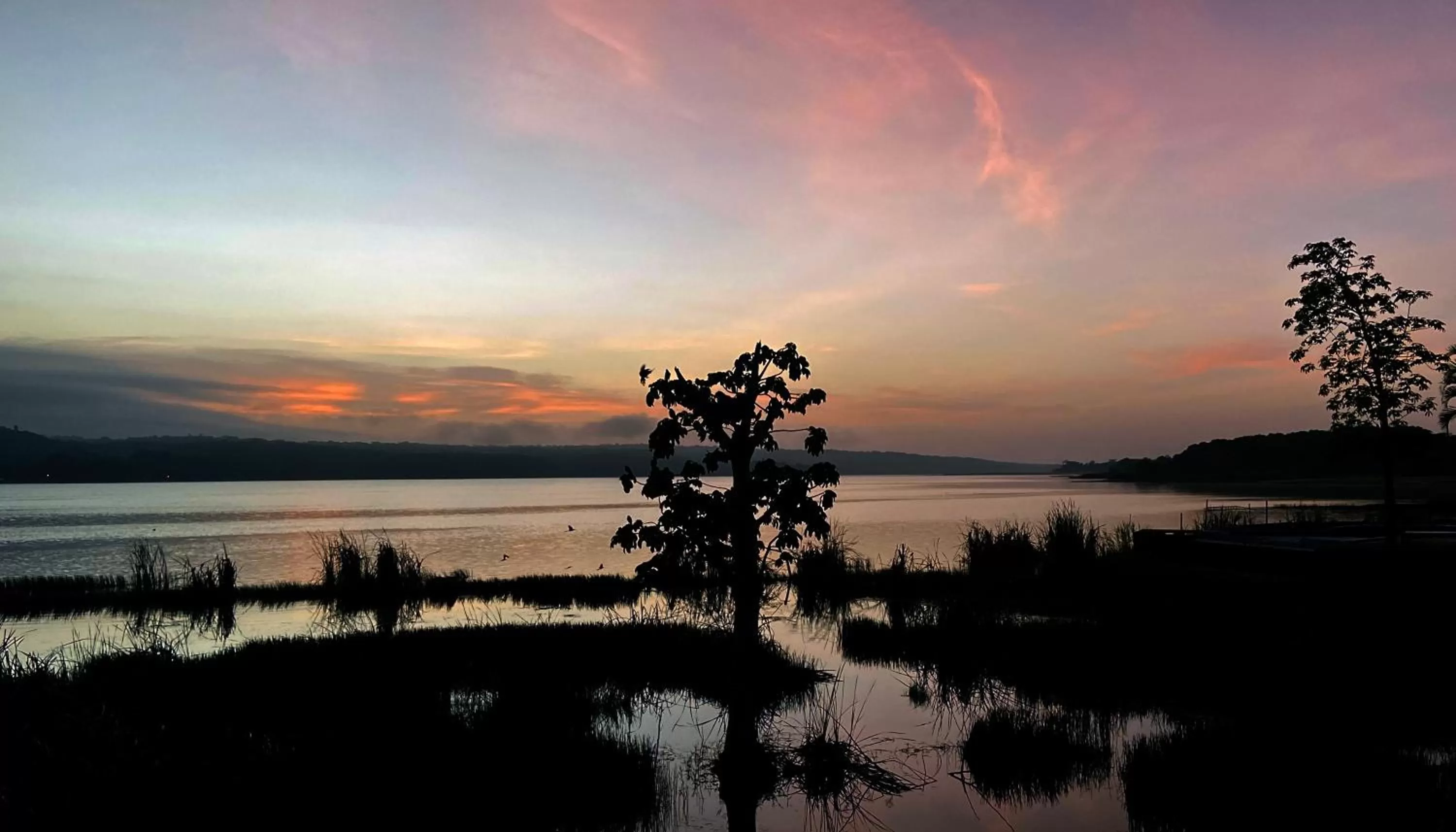 Natural landscape in Hotel Maya Internacional
