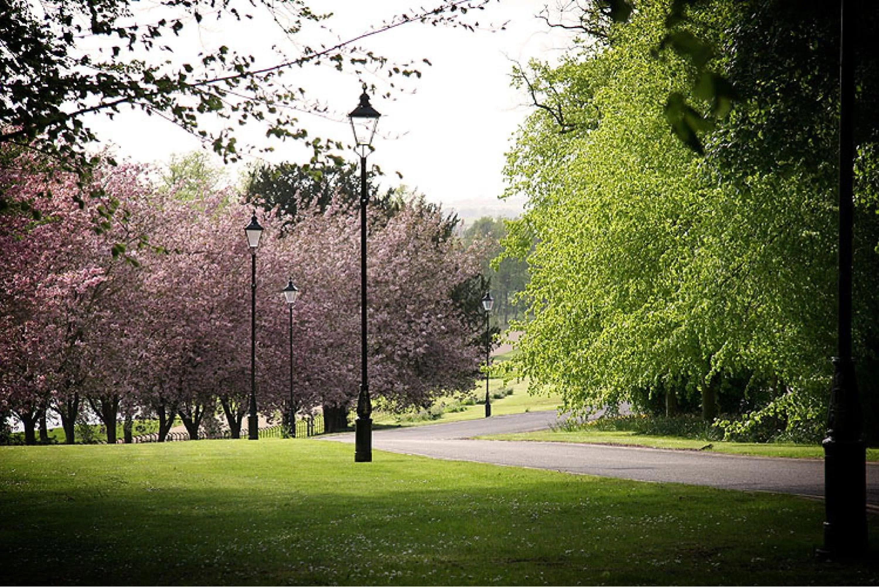 Garden in Hardwick Hall Hotel
