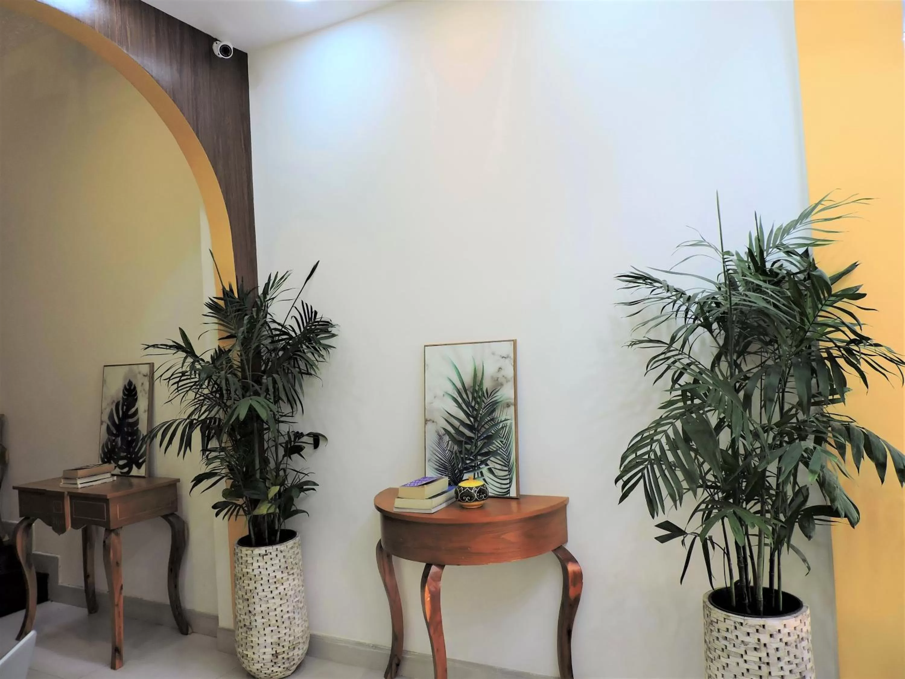 Lobby or reception in Chez Mimosa Local - Free Laundry