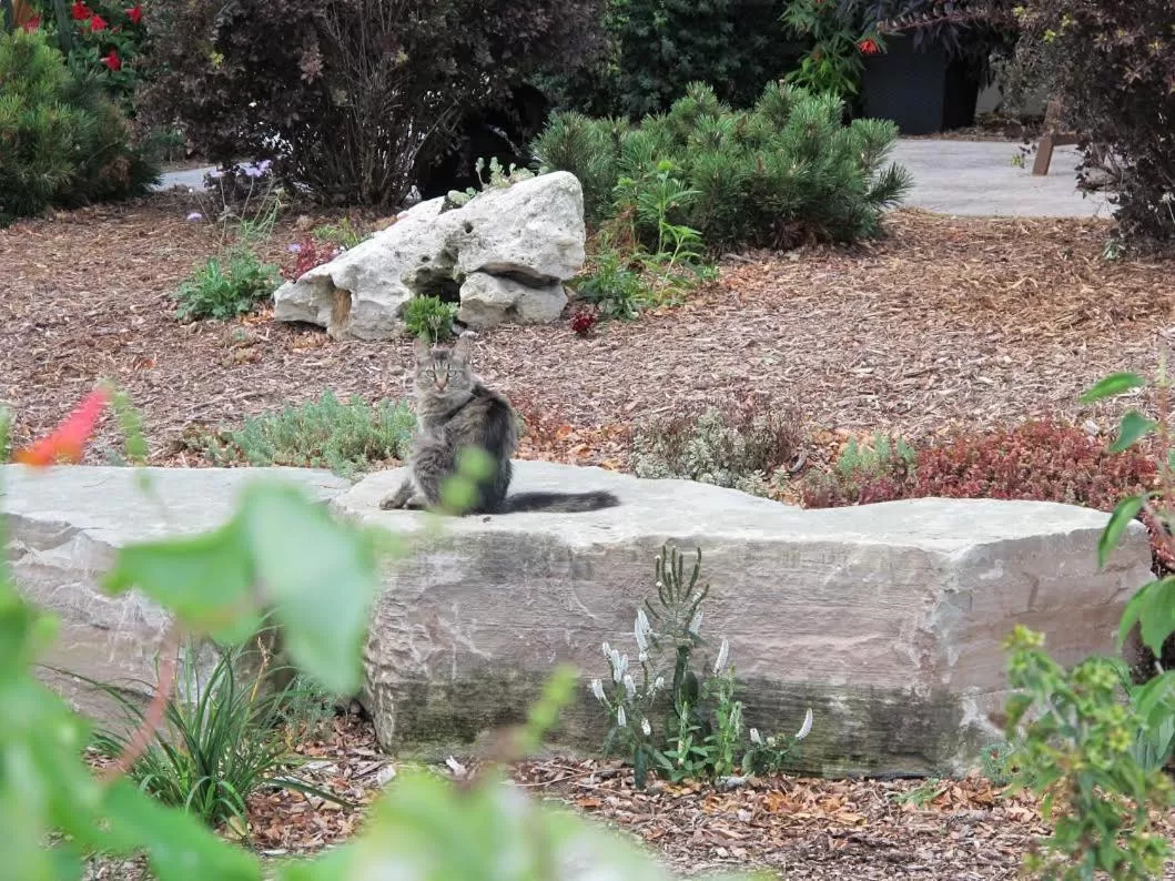 View (from property/room) in Wenzler's Landing B&B