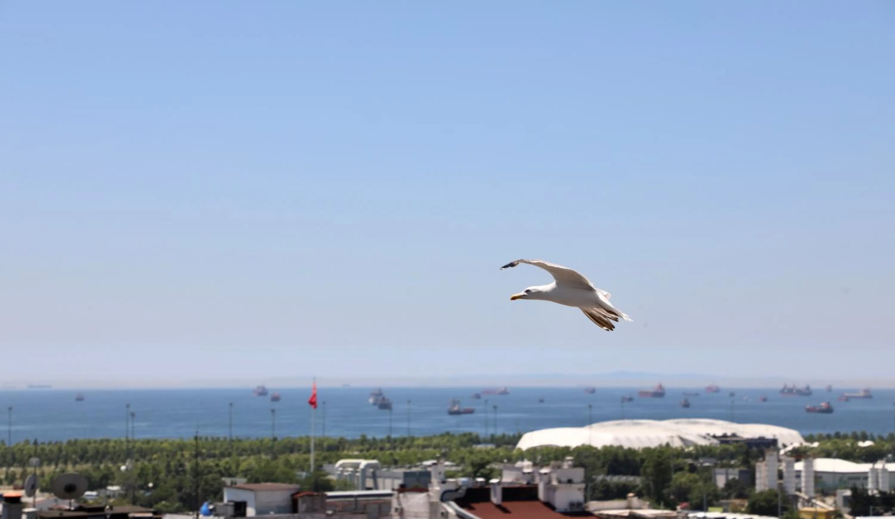 Day in Istanbul Royal Hotel