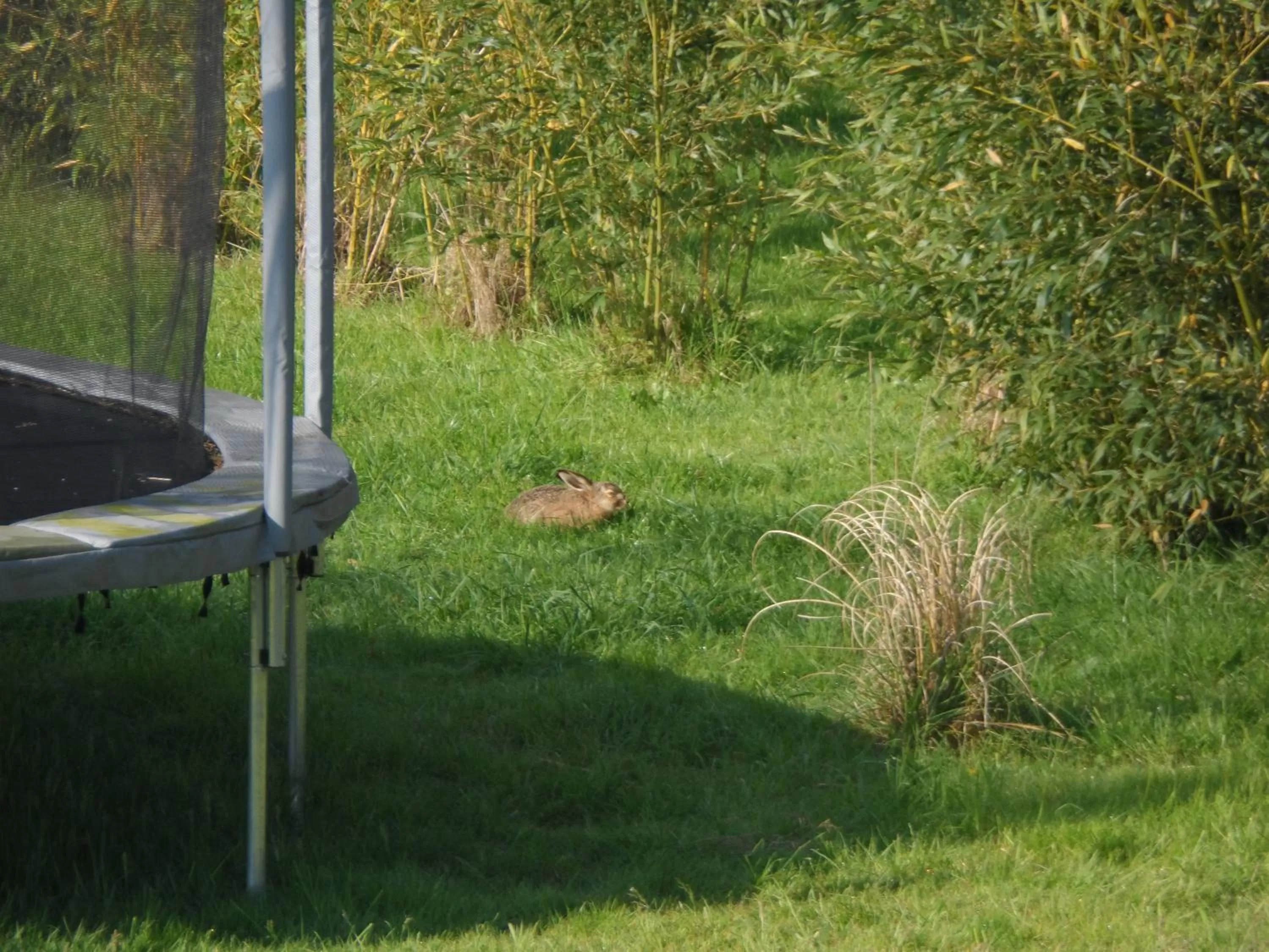 Property building in Cafecouet'Breizh