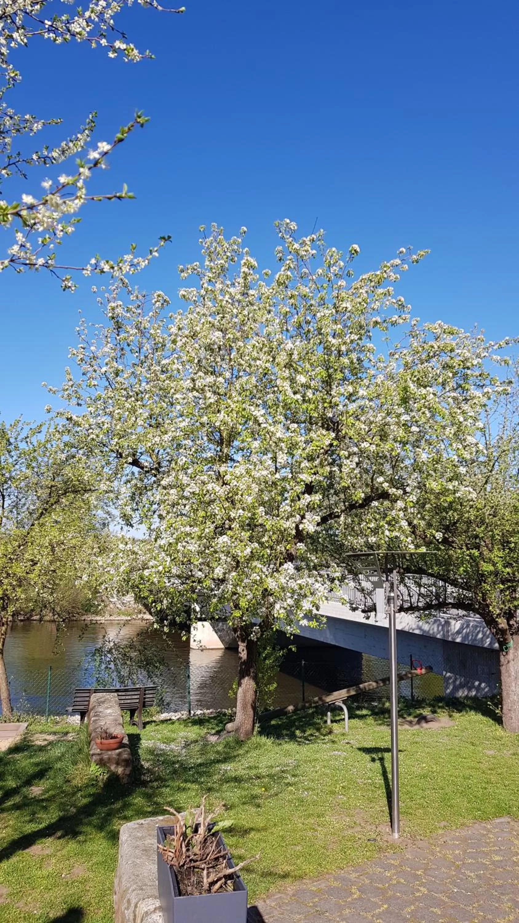 Balcony/Terrace in Hotel und Gasthof Ritter St. Georg