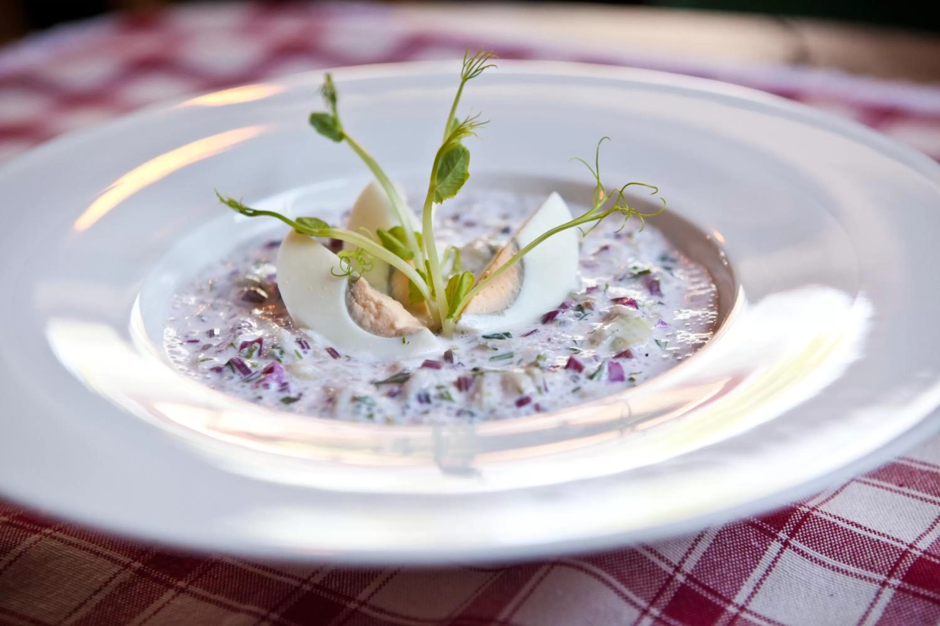 Food close-up in Willa Pokusa