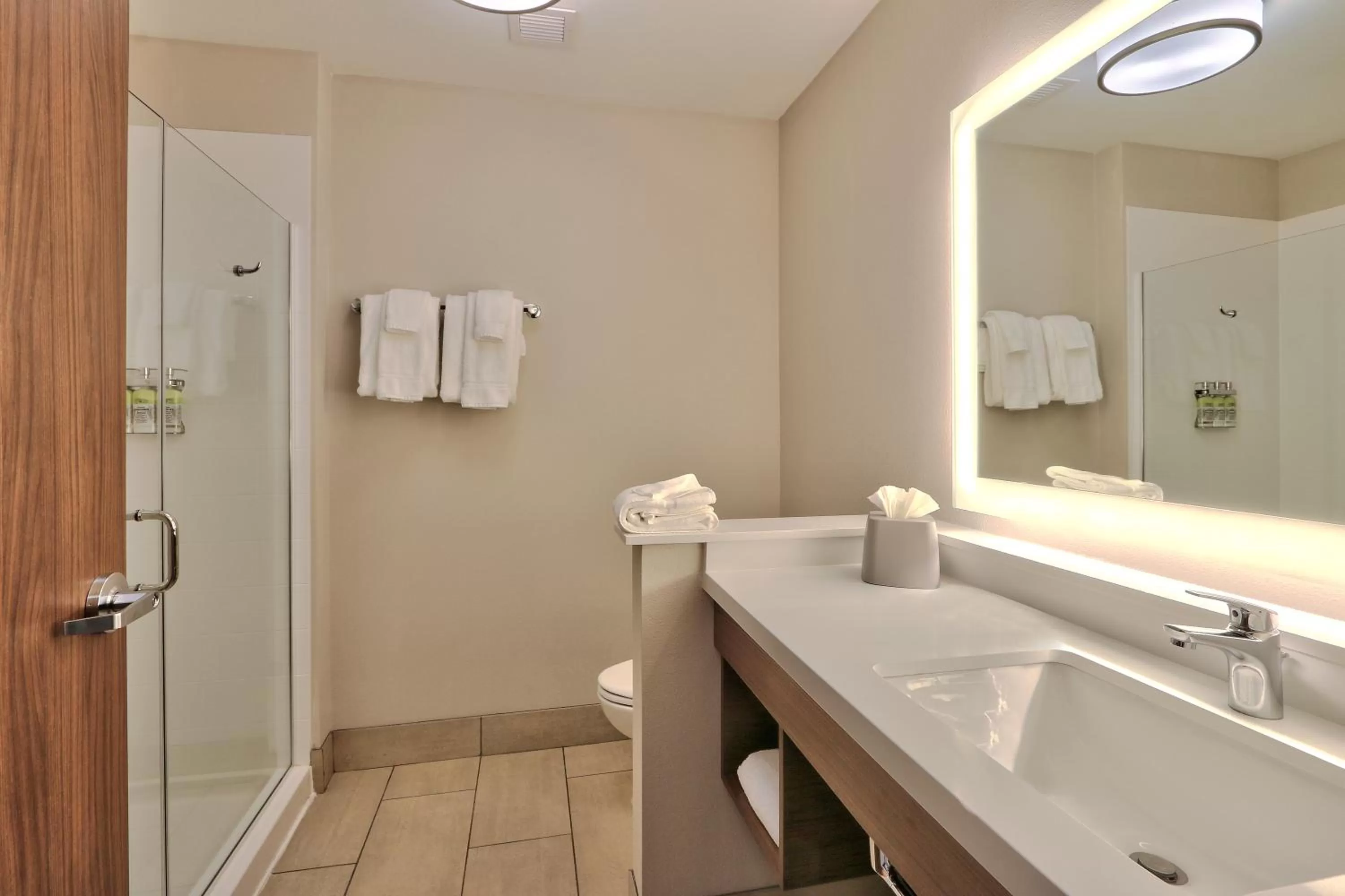 Bathroom in Holiday Inn Express & Suites - Albuquerque East by IHG