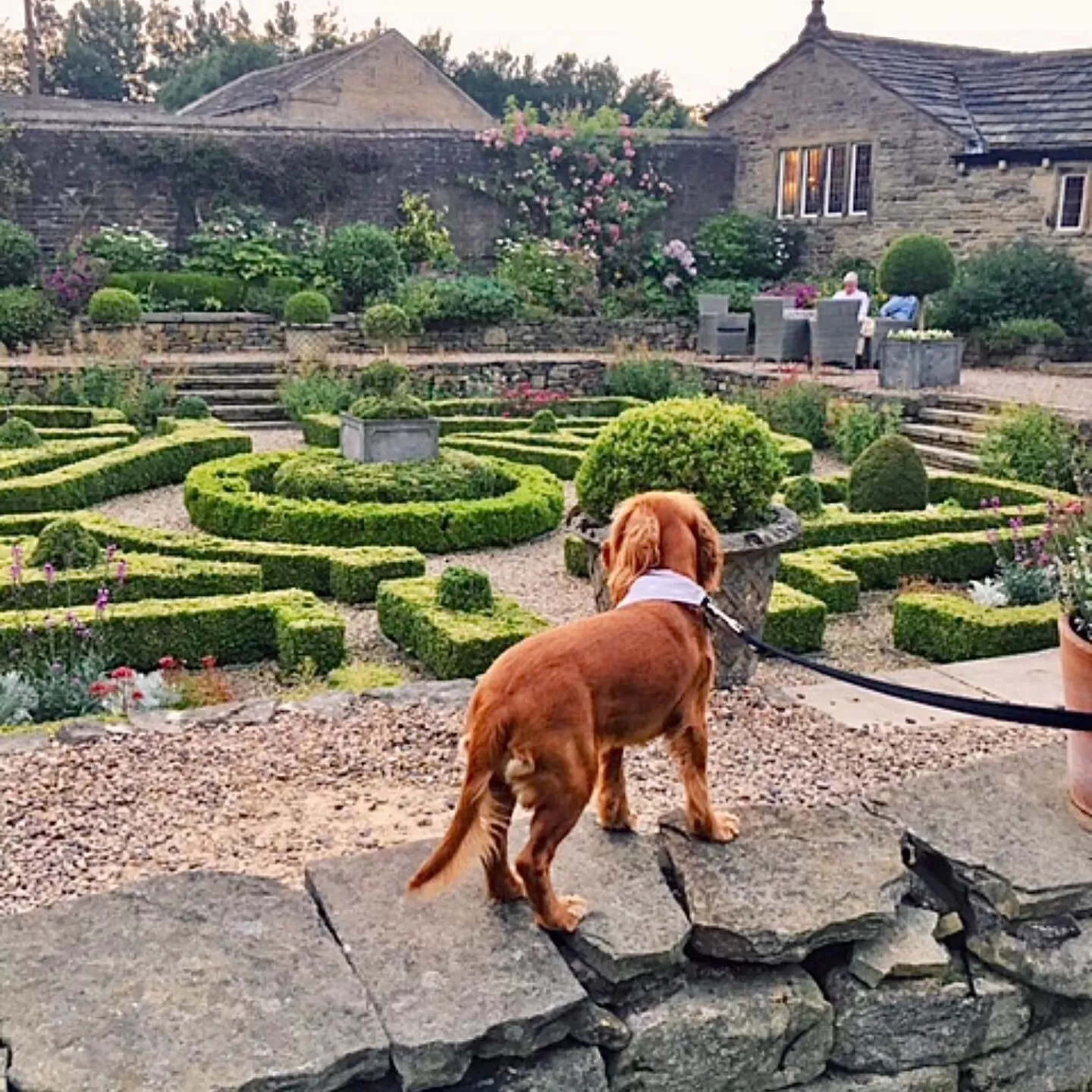 Patio in Holdsworth House Hotel