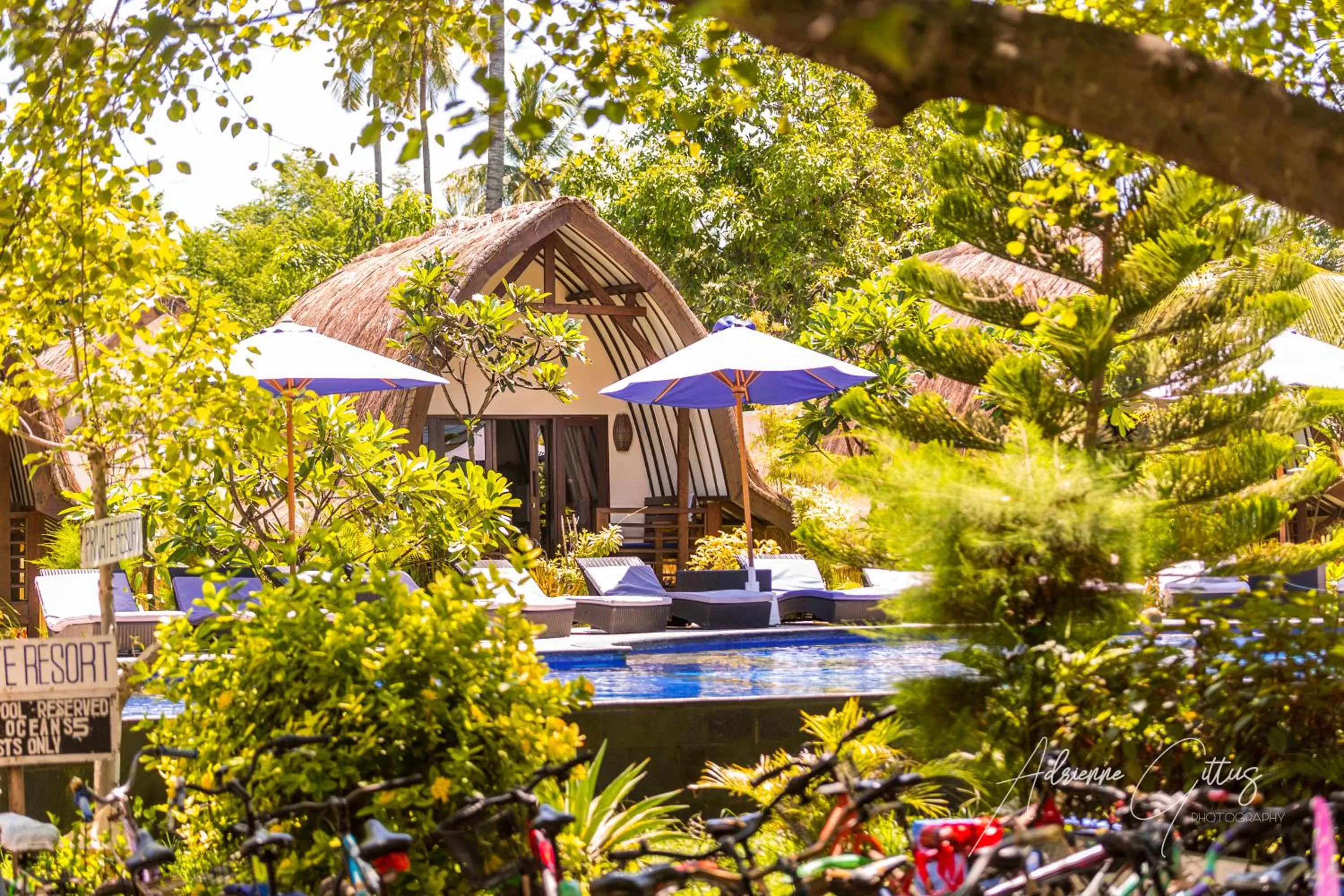 Property building in Oceans 5 Dive Resort