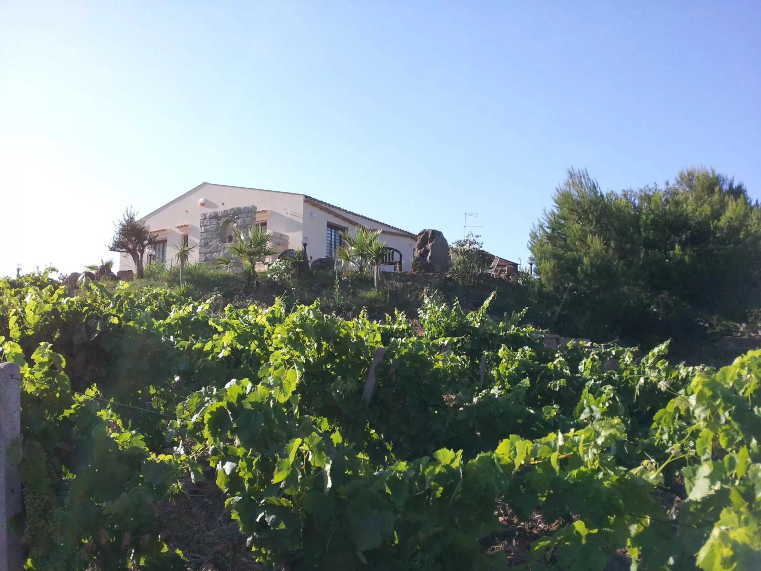 Facade/entrance in La Suite Di Segesta