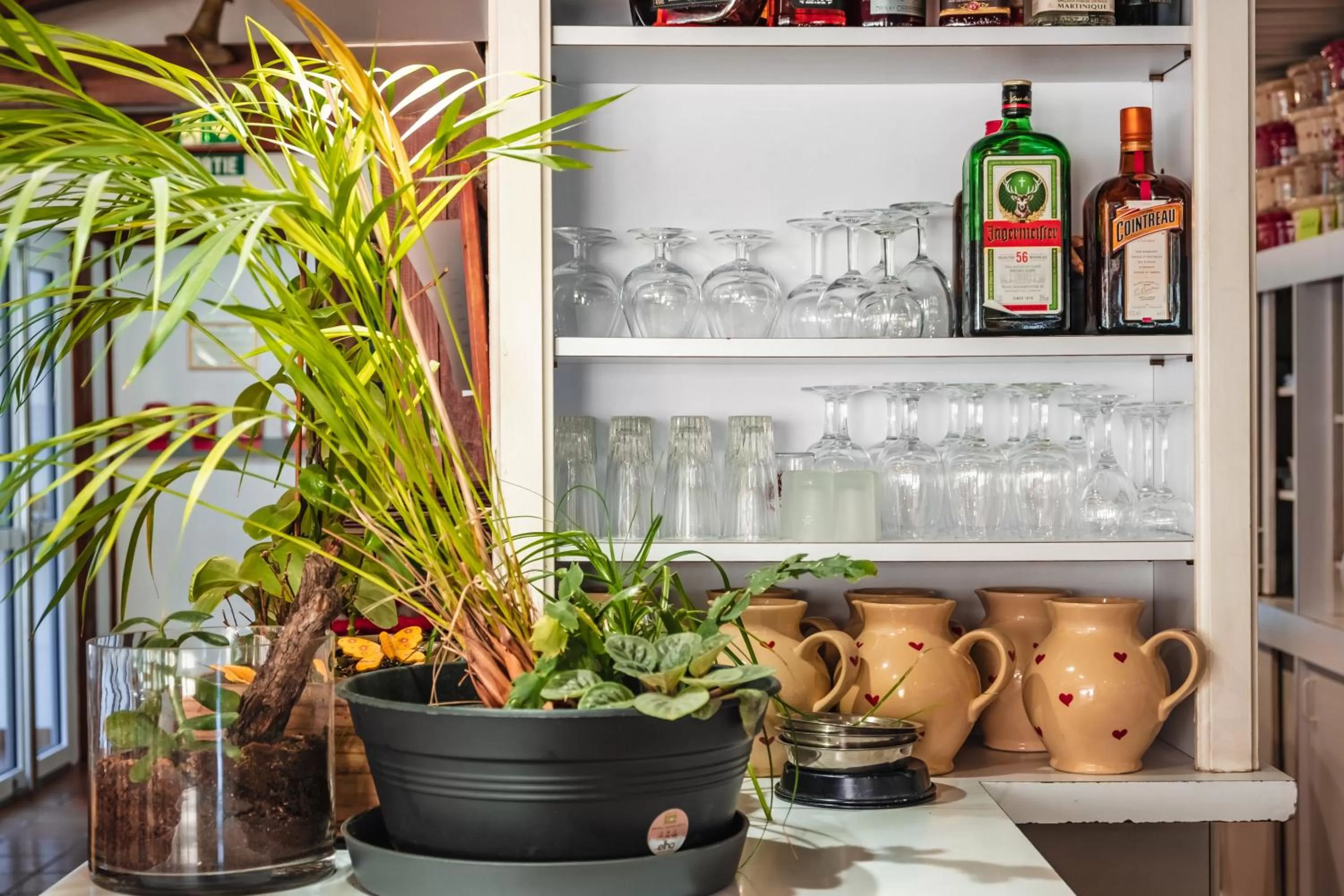 Food and drinks in Hotel Strasbourg - Montagne Verte & Restaurant Louisiane