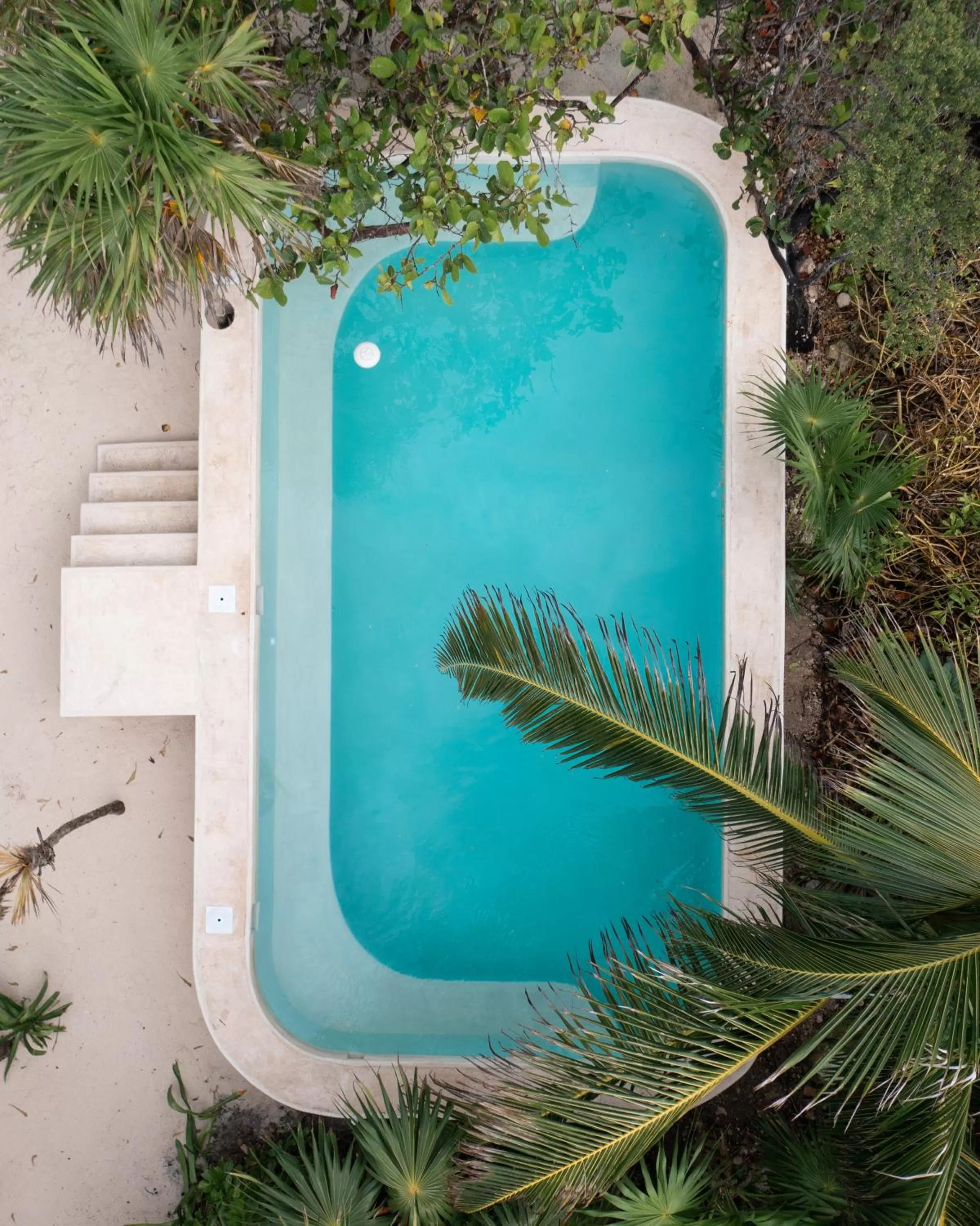 Swimming pool in Diamante K - Inside Tulum National Park