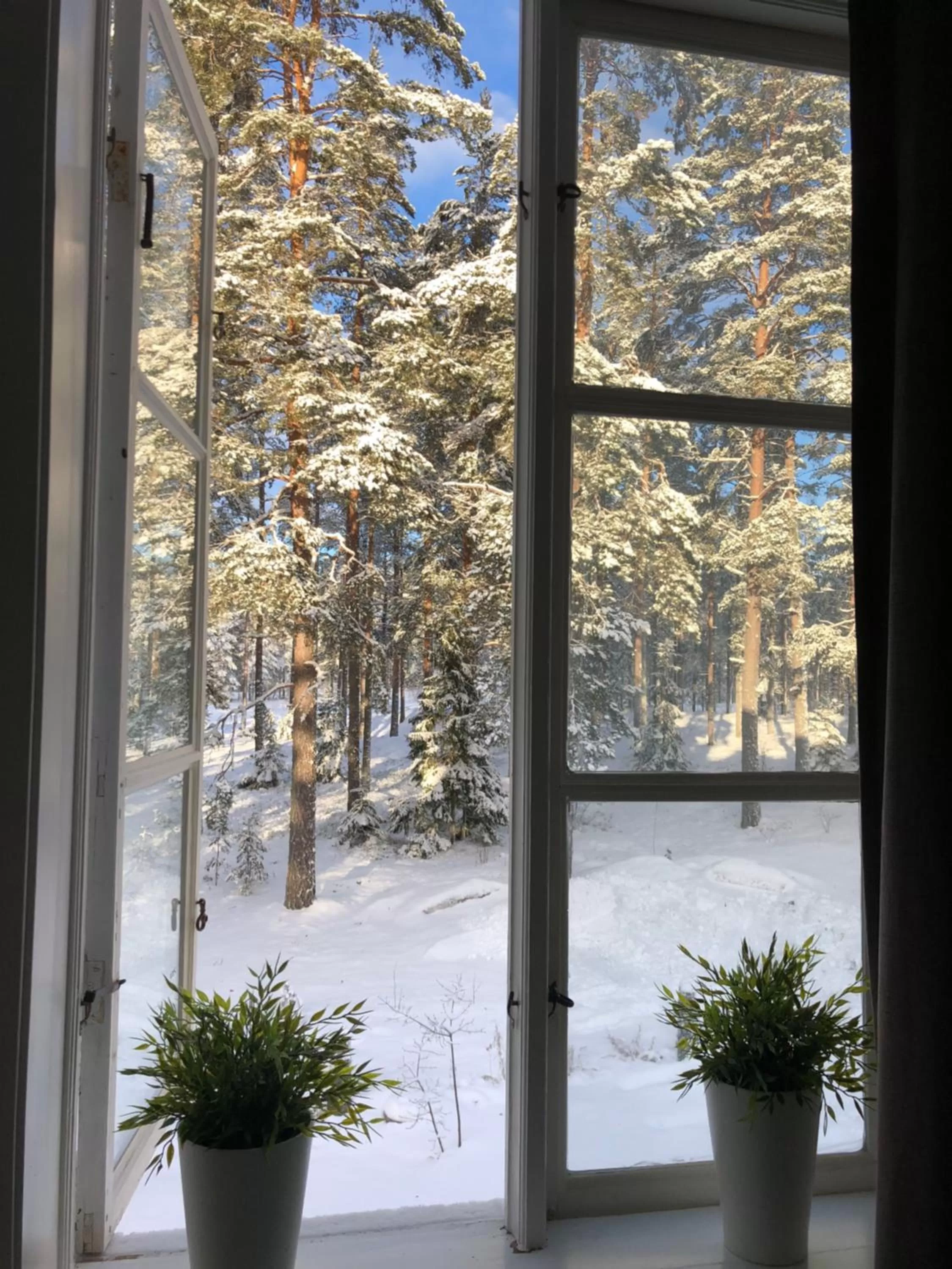 Garden view in Hedenstugan B&B Hotel