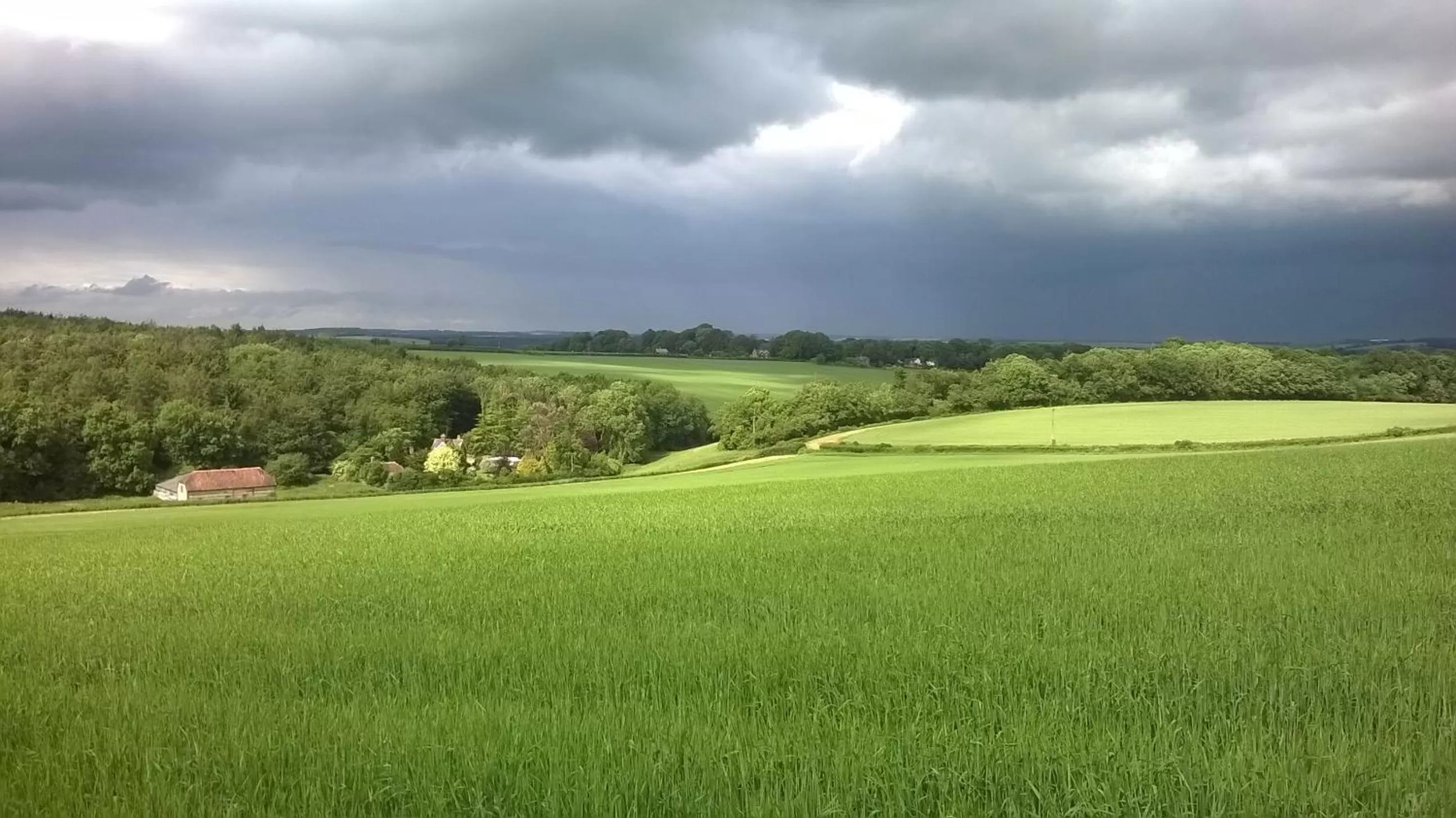 View (from property/room) in Lower Bryanston Farm