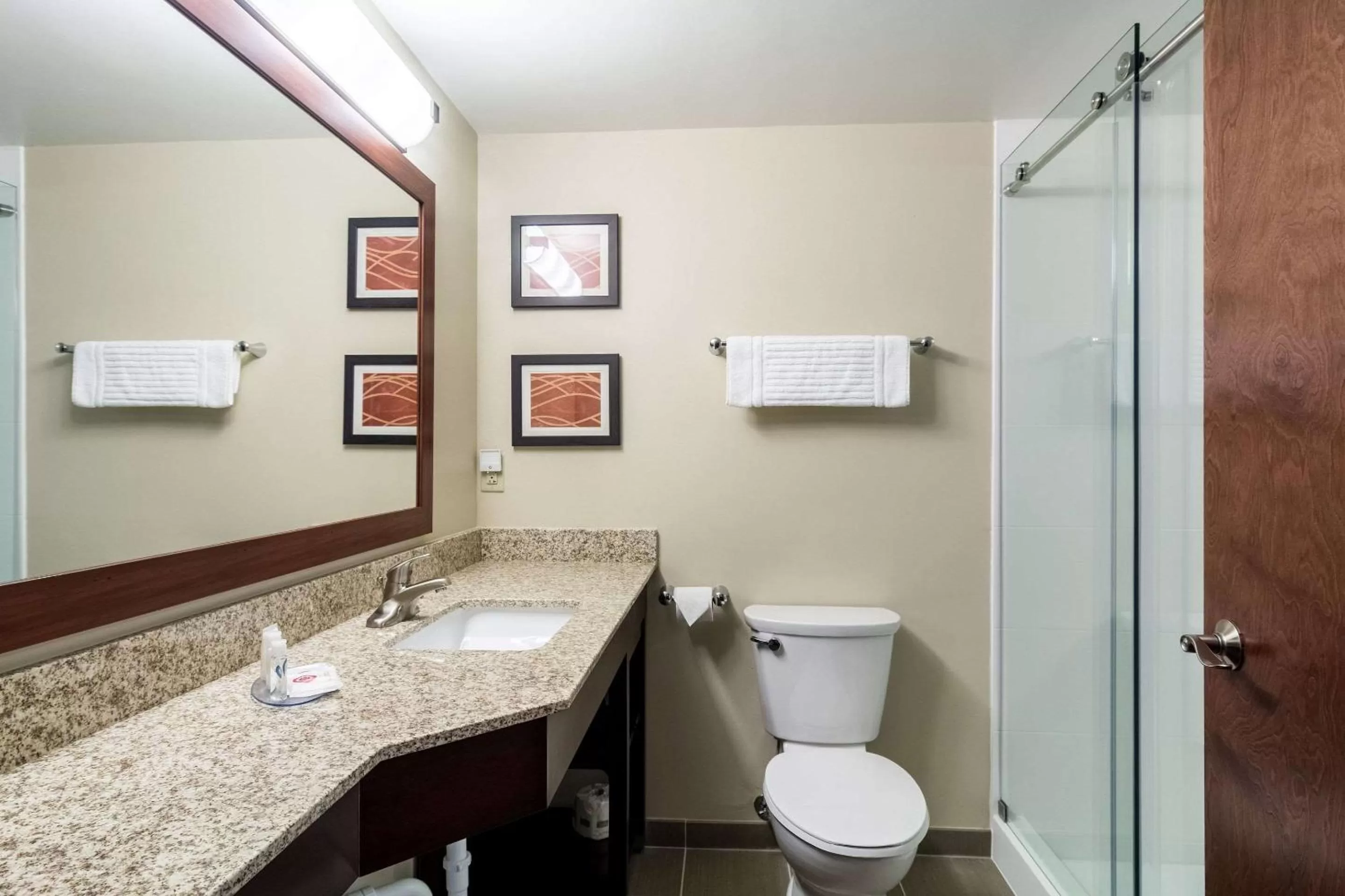 Bathroom in Comfort Inn Edwardsville - St Louis