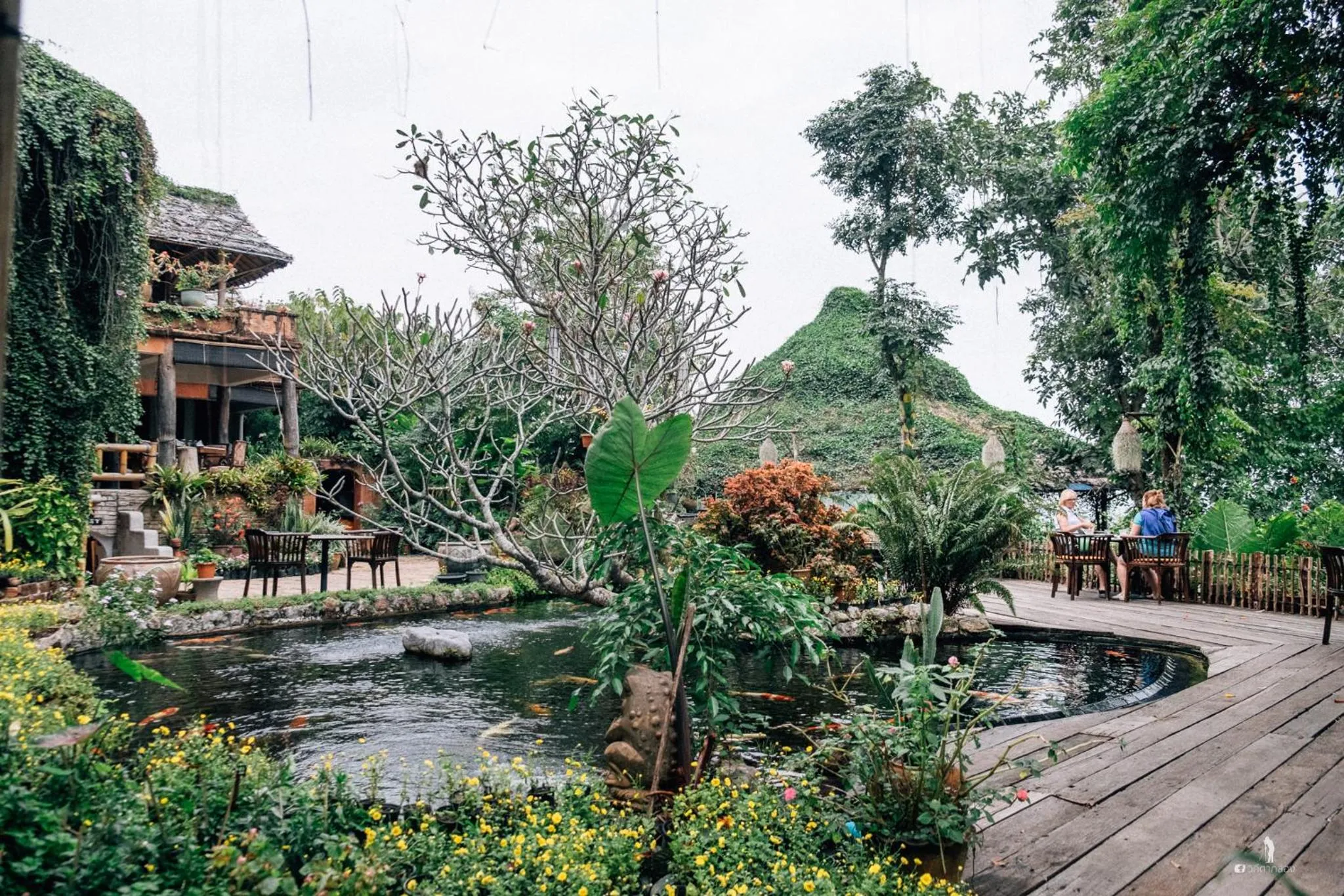 Garden in Phu Chaisai Chiang Rai Mountain Resort