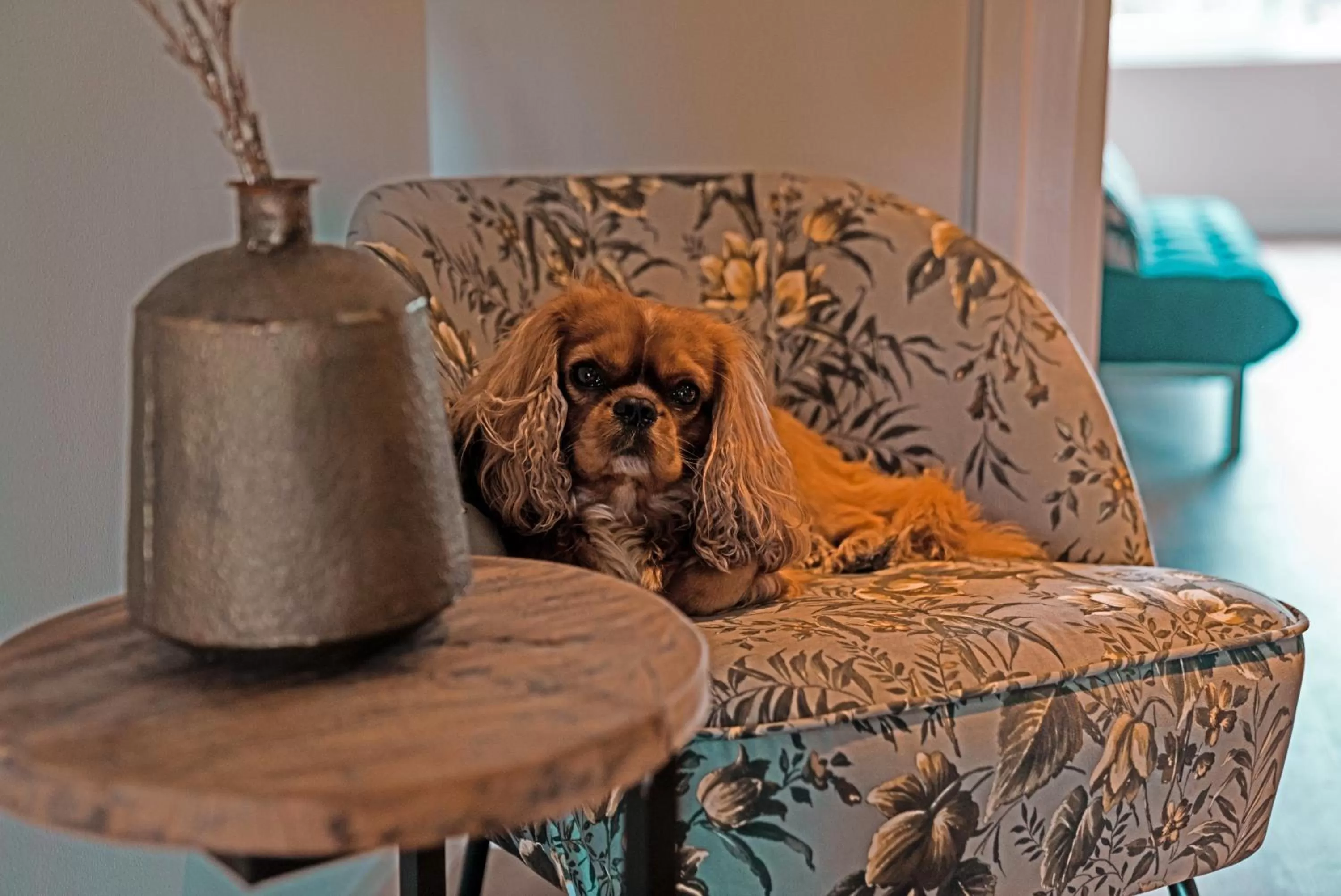 B&B Westerhaven Medemblik