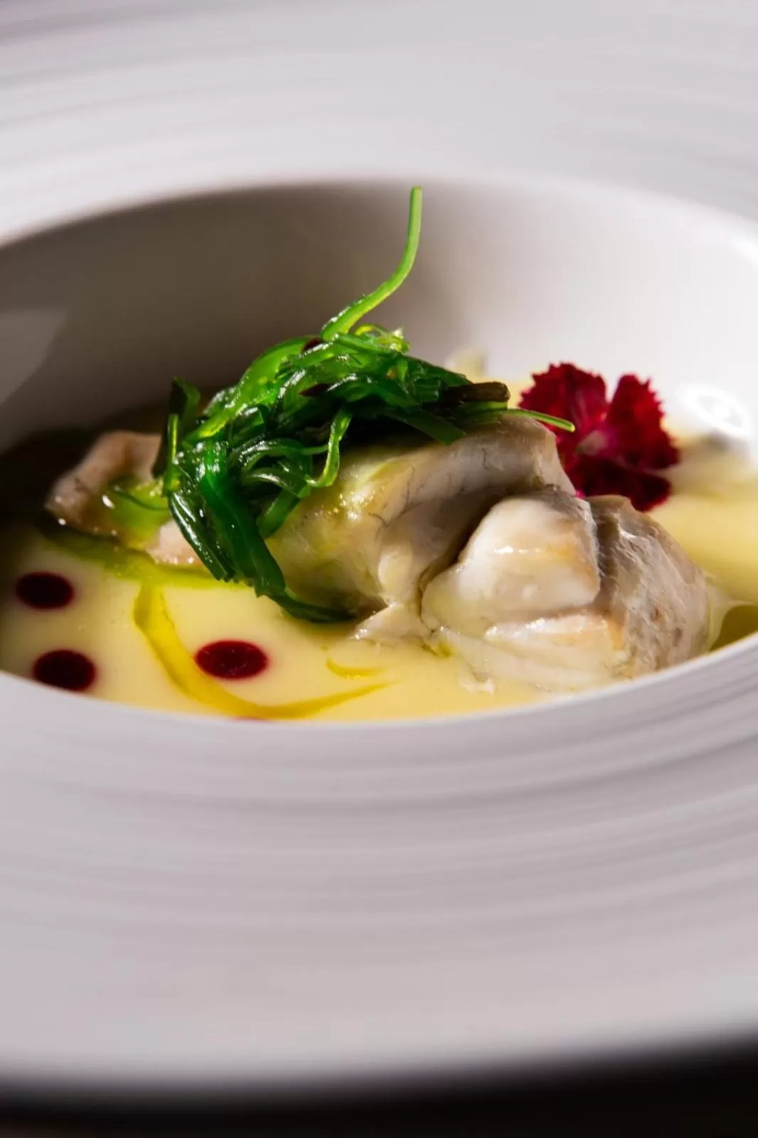 Restaurant/places to eat in Hotel Villa Barbarich Venice Mestre